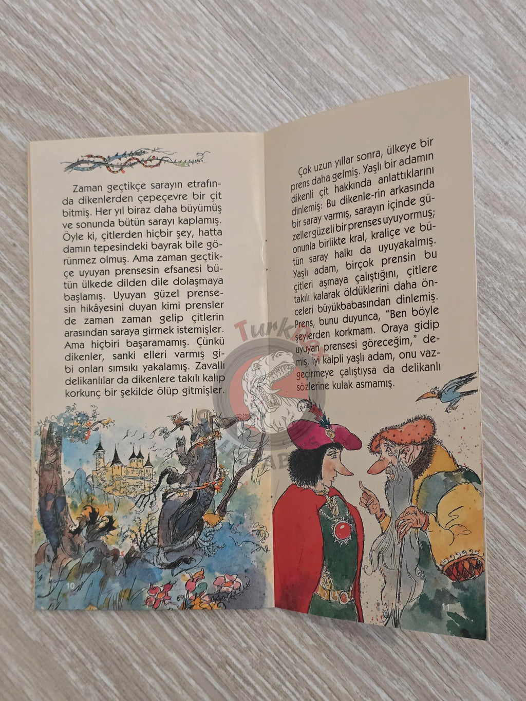 Grimm Brothers –  Sleeping Beauty 2011 Turkish Book Turkey Illustrated