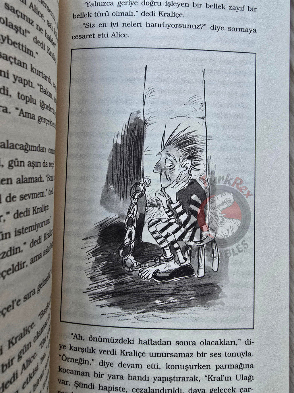 Lewis Carroll – Through the Looking-Glass 2012 Turkish Book Turkey Illustrated