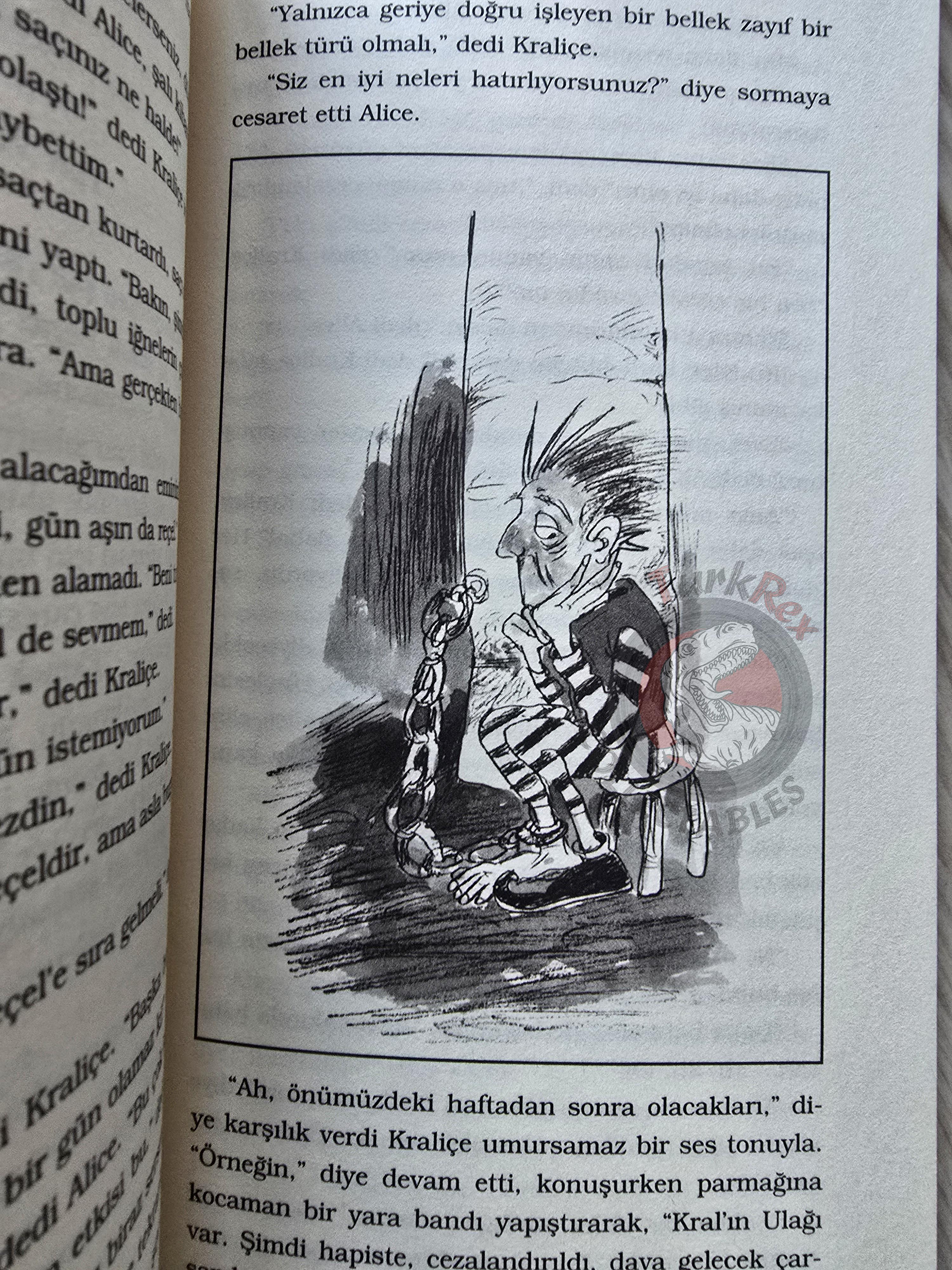 Lewis Carroll – Through the Looking-Glass 2012 Turkish Book Turkey Illustrated