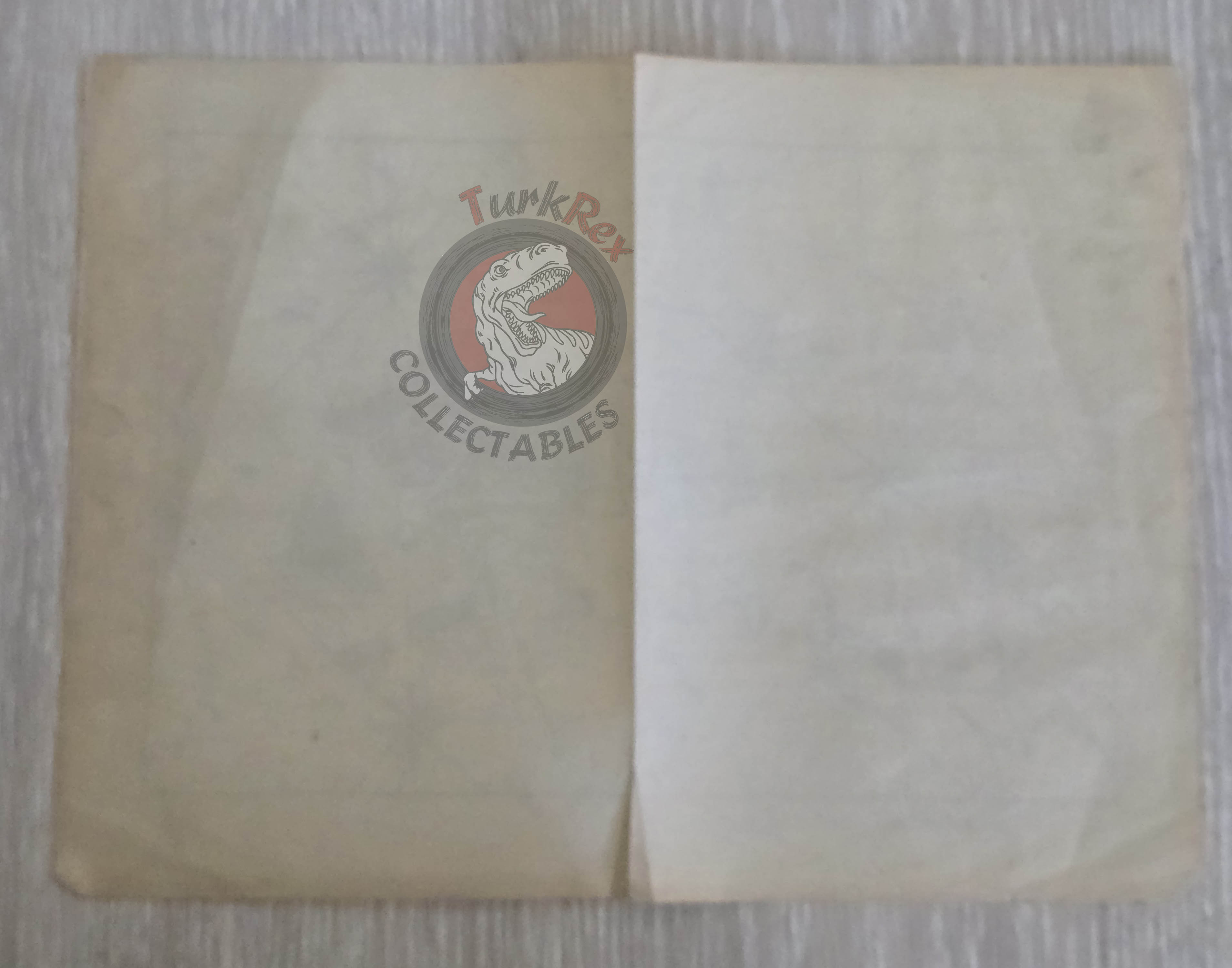 Ottoman Empire Venice City Map 1913 Katip Çelebi Italy Piri Reis