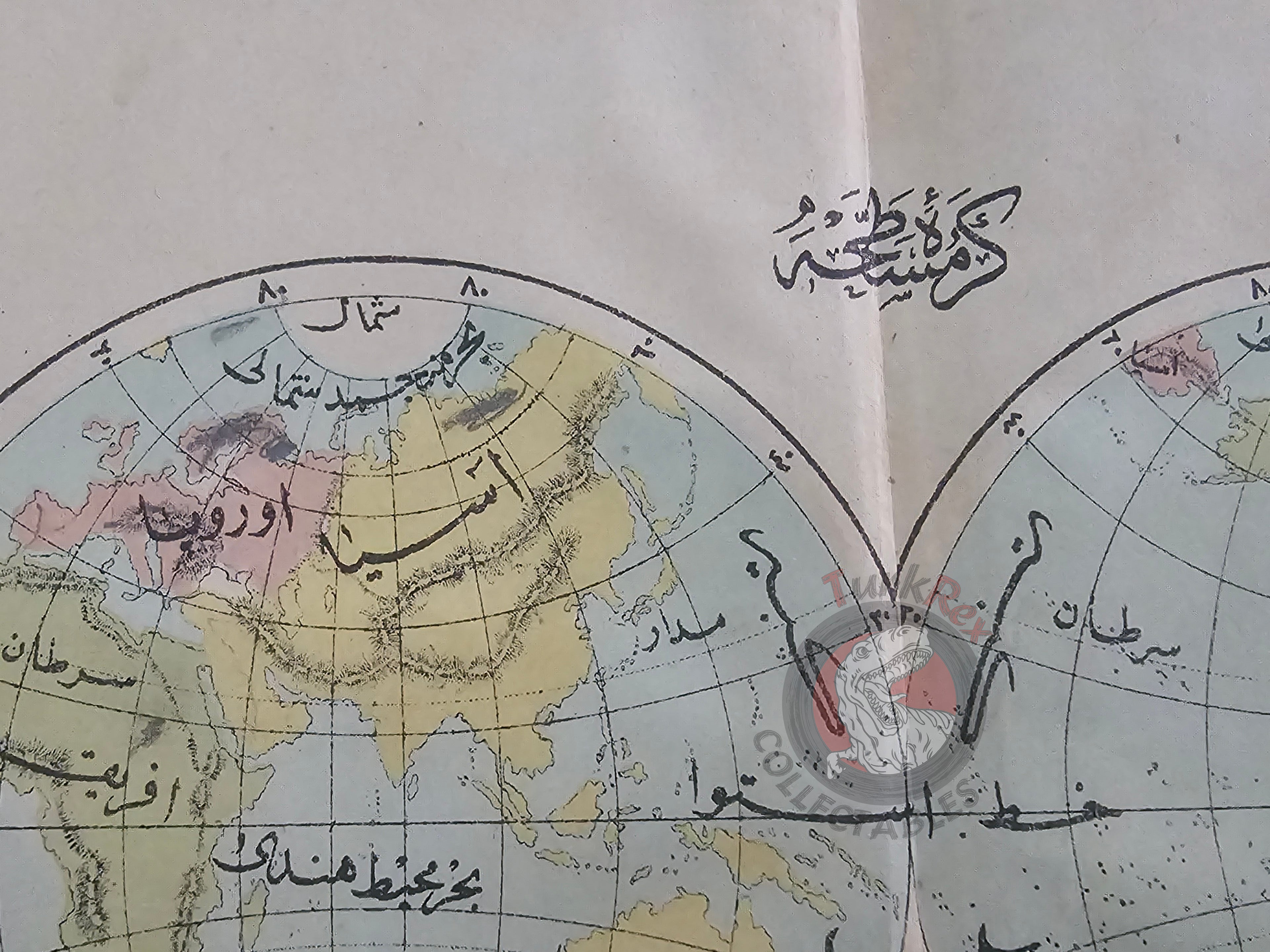 Ottoman Map of the World Hemispheres 1876 Ottoman Empire Continents Asia Europe