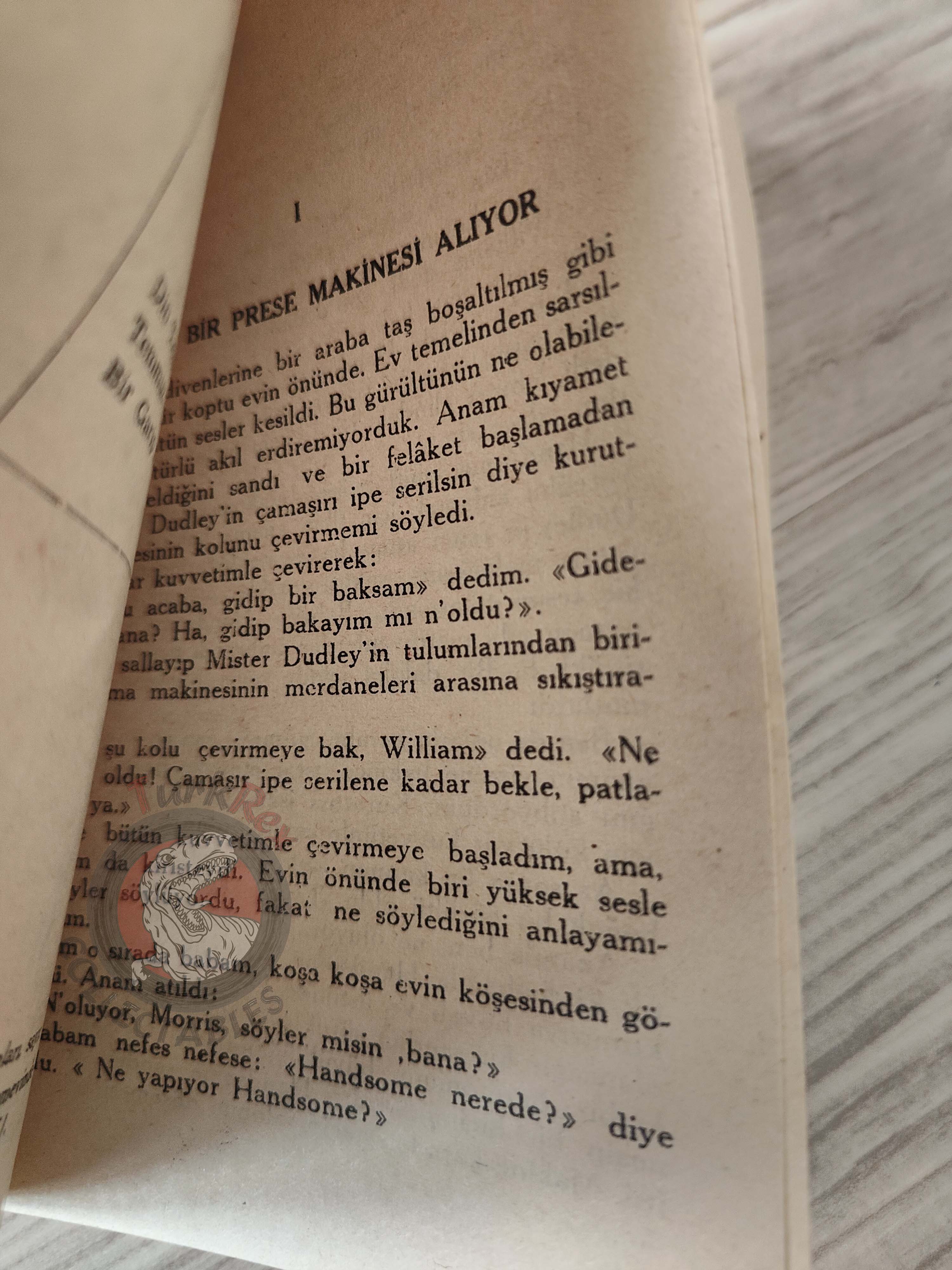 Erskine Caldwell – Georgia Boy 1951 1st Turkish Book Turkey