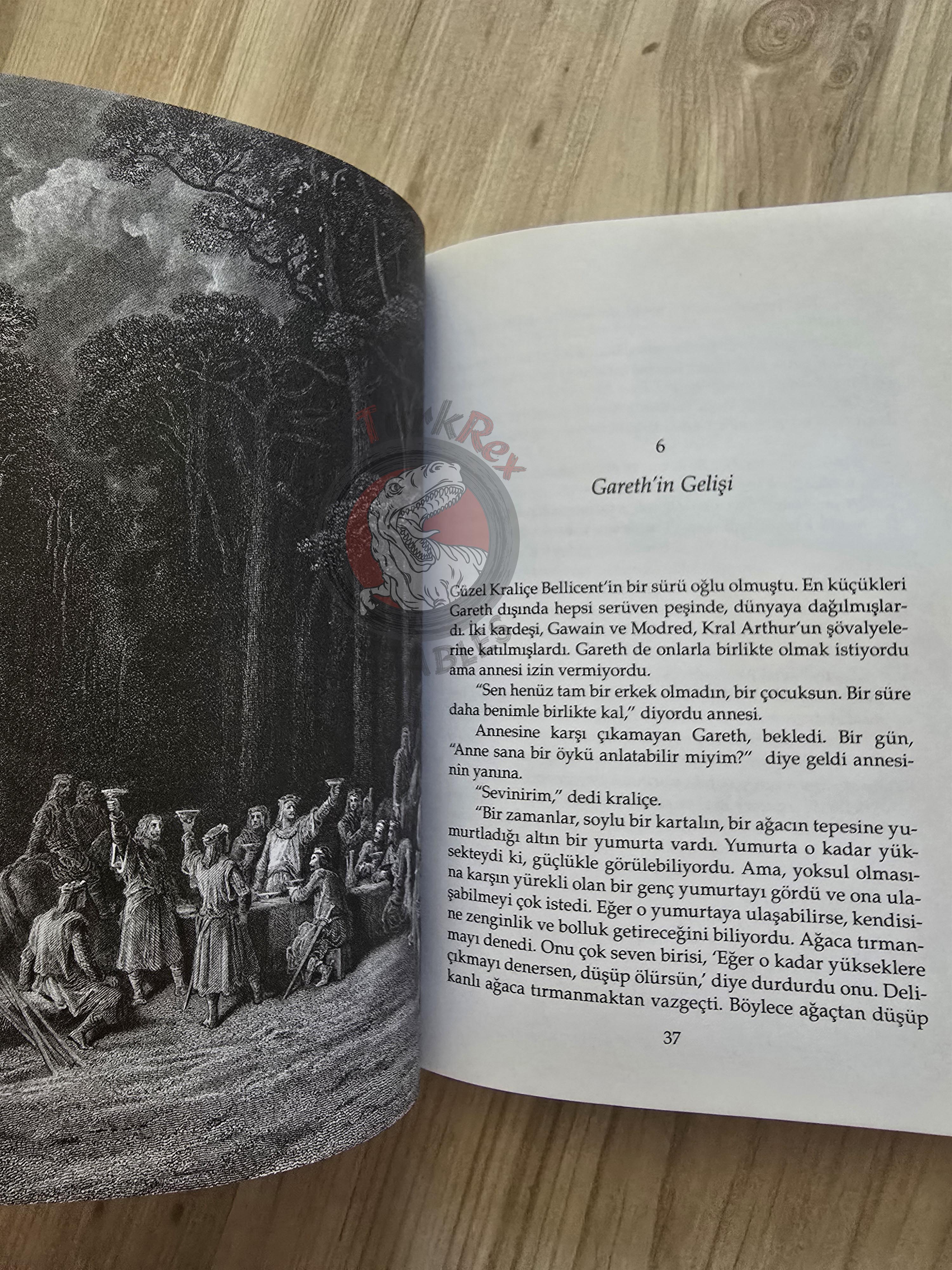 Sir Thomas Malory – King Arthur and the Knights of the Round Table 2010 Turkish Book Turkey