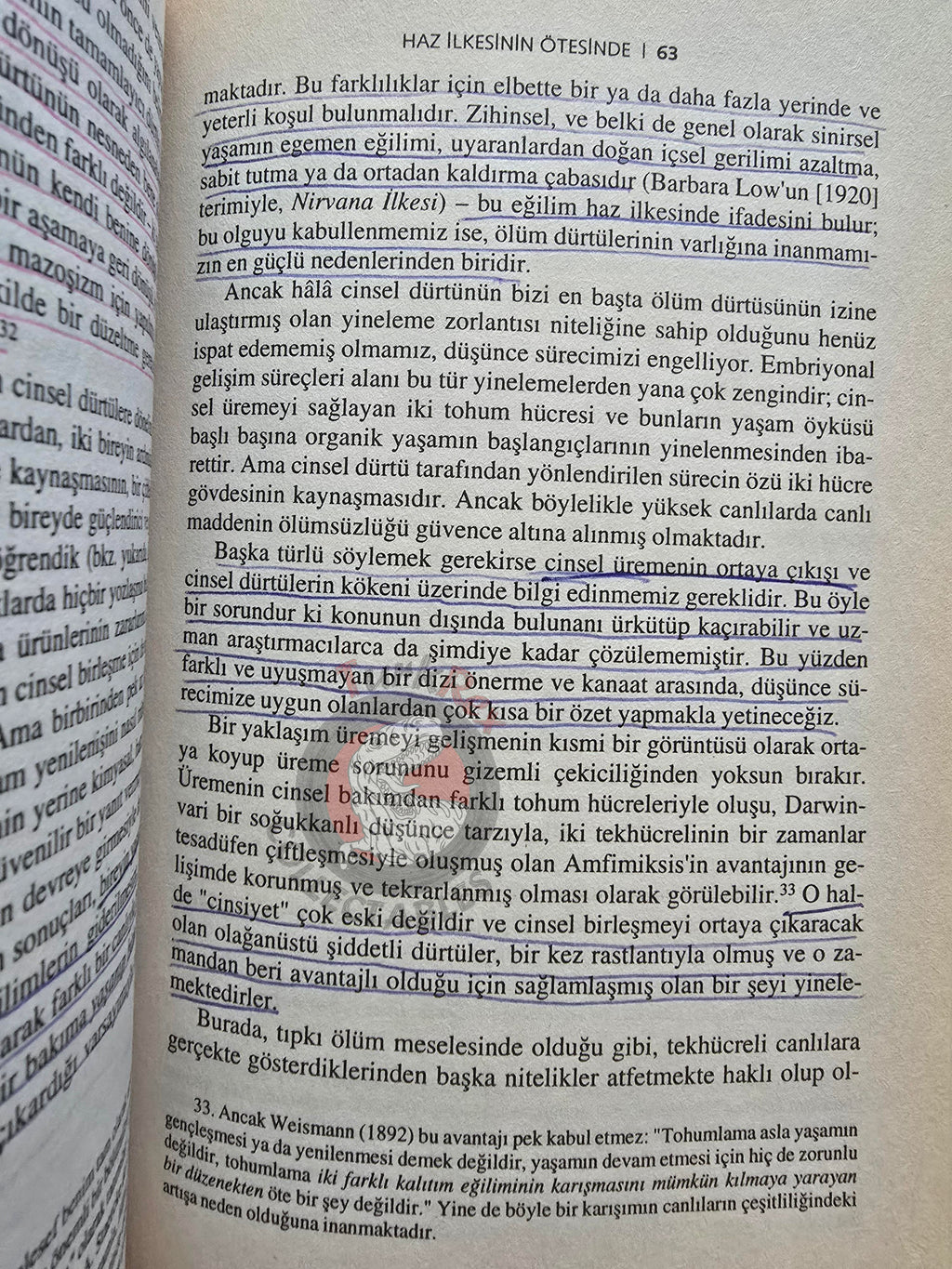 Sigmund Freud – Beyond the Pleasure Principle 2001 Turkish Book Turkey