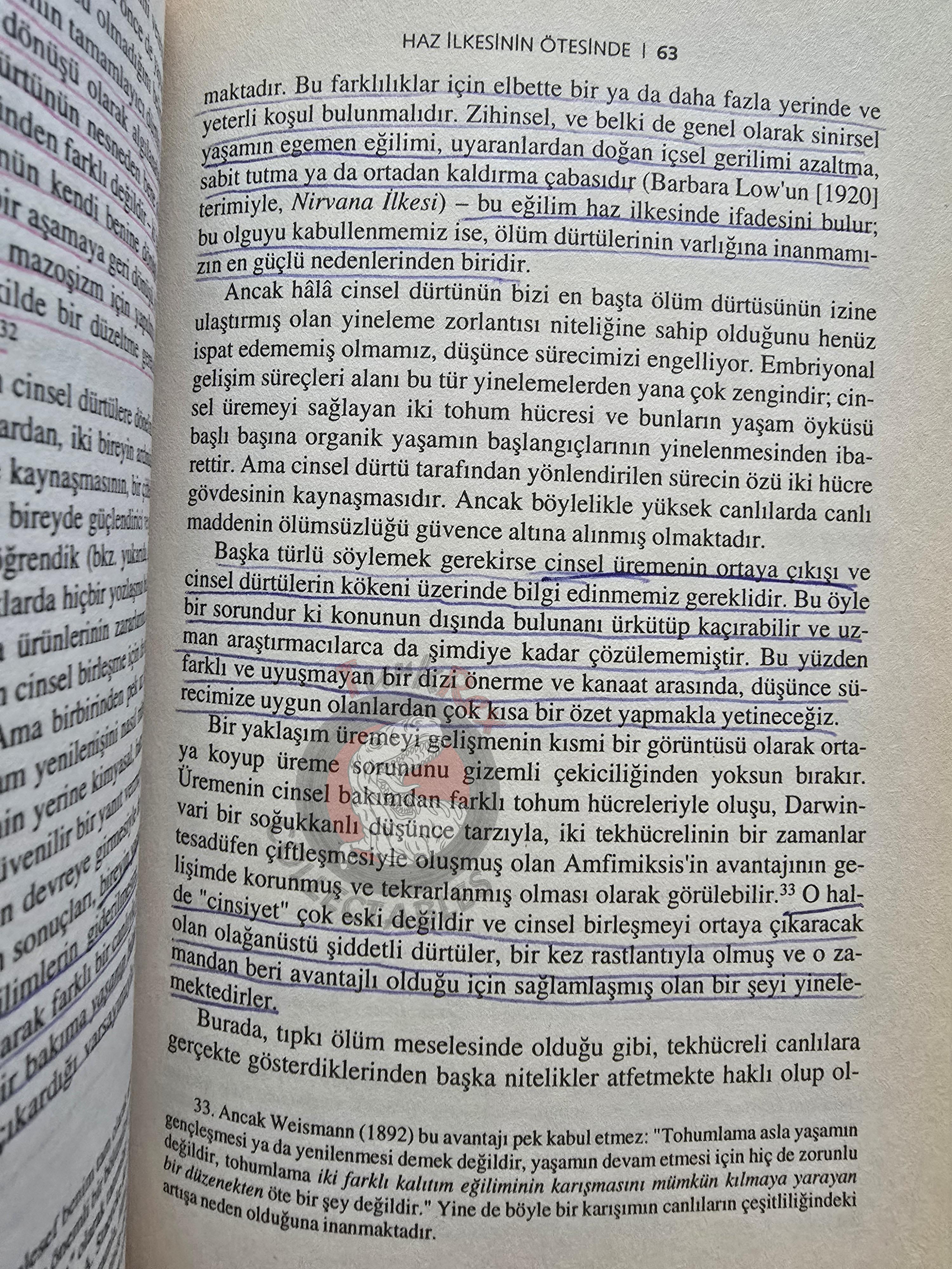 Sigmund Freud – Beyond the Pleasure Principle 2001 Turkish Book Turkey