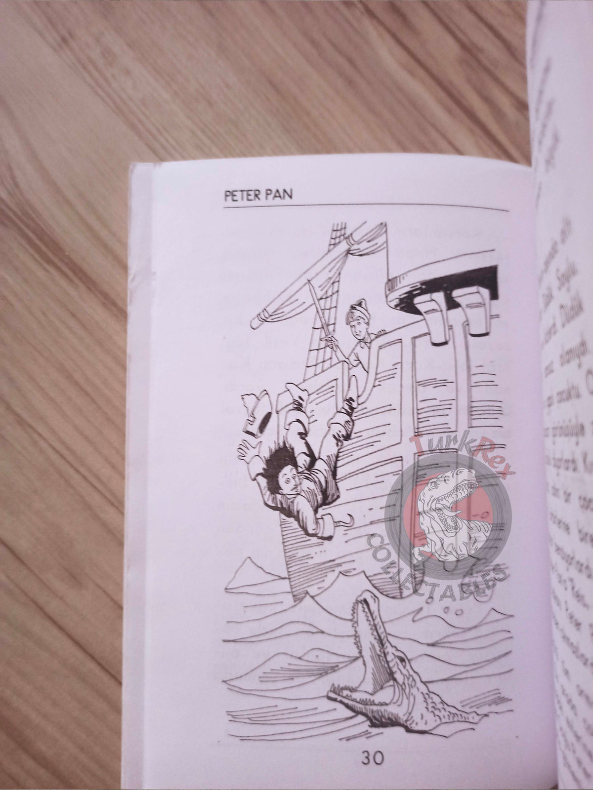 J. M. Barrie – Peter Pan 2004 Turkish Book Turkey Illustrated