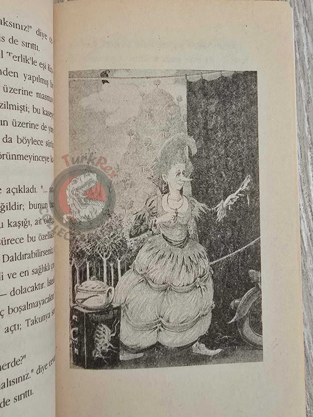 Michael Ende – Die Zauberschule 1995 1st Turkish Book Turkey Illustrated