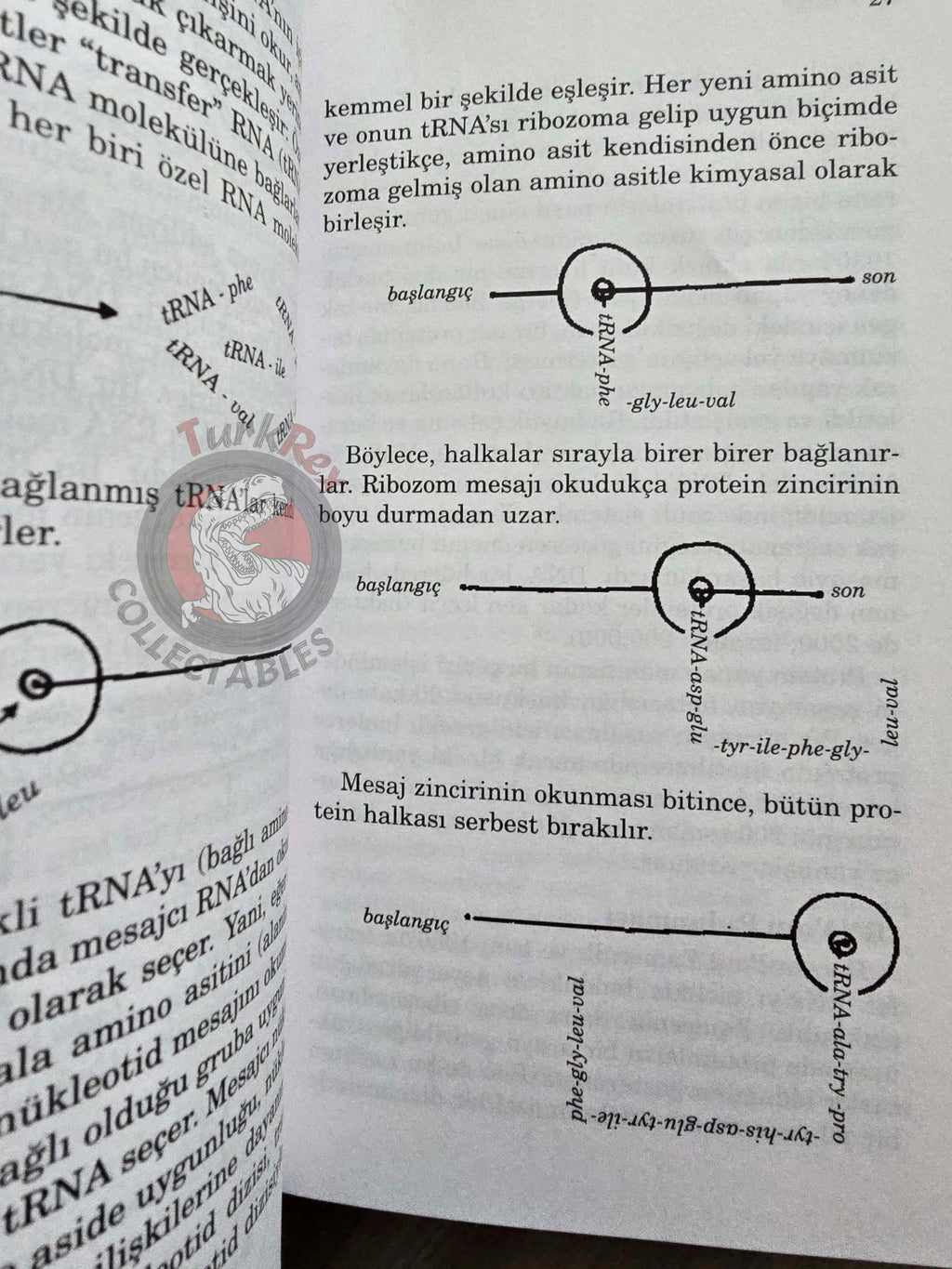 Mahlon B. Hoagland – The Roots Of Life 2003 Turkish Book Turkey