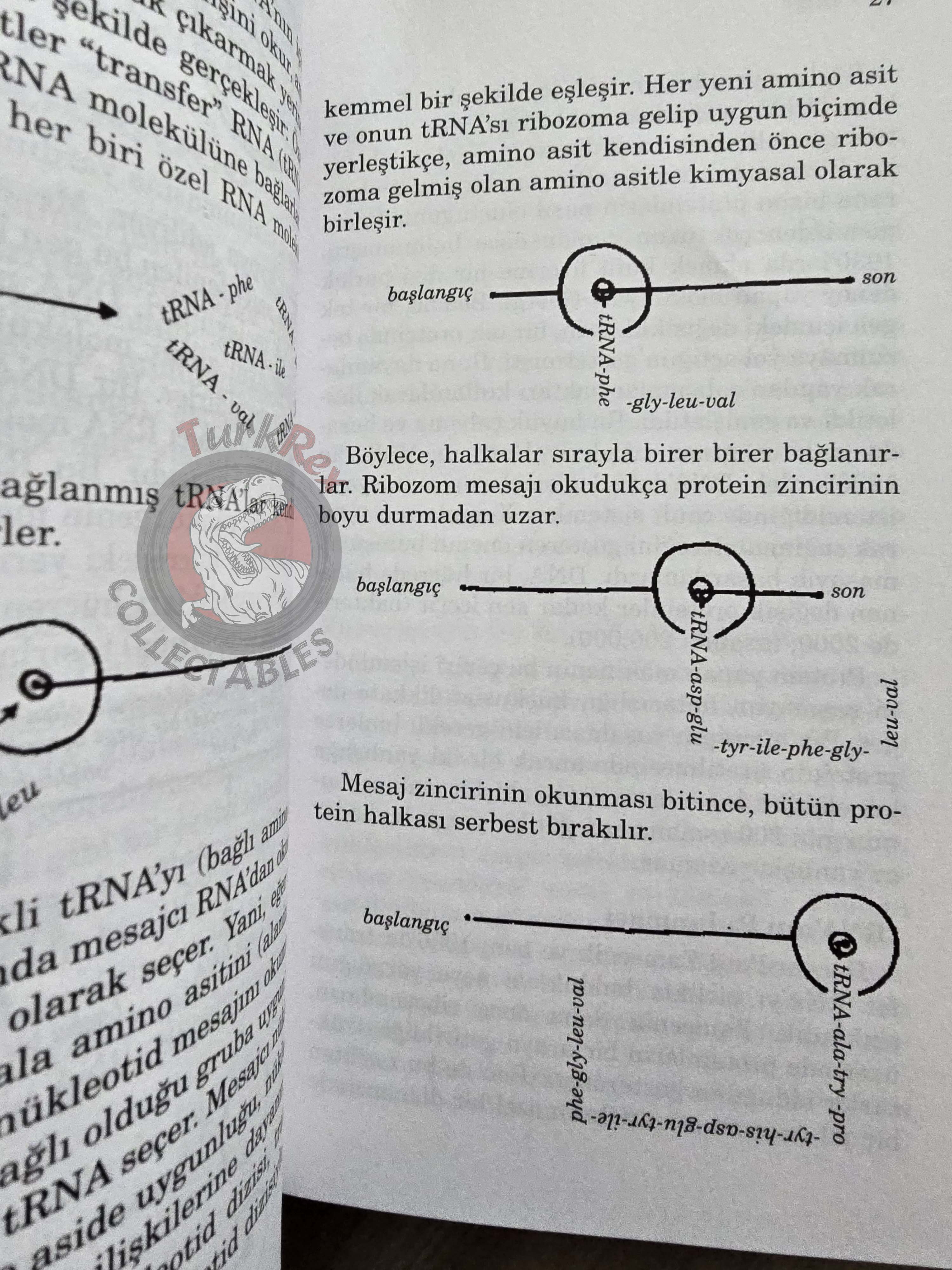Mahlon B. Hoagland – The Roots Of Life 2003 Turkish Book Turkey