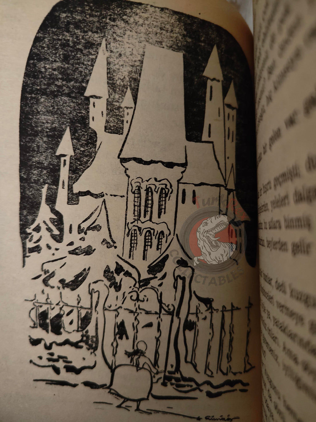 Hans Christian Andersen – The Snow Queen 1973 Turkish Book Turkey Illustrated