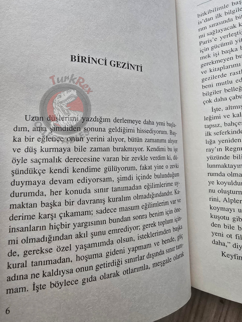 Jean-Jacques Rousseau – Reveries of a Solitary Walker 2007 Turkish Book Turkey 2