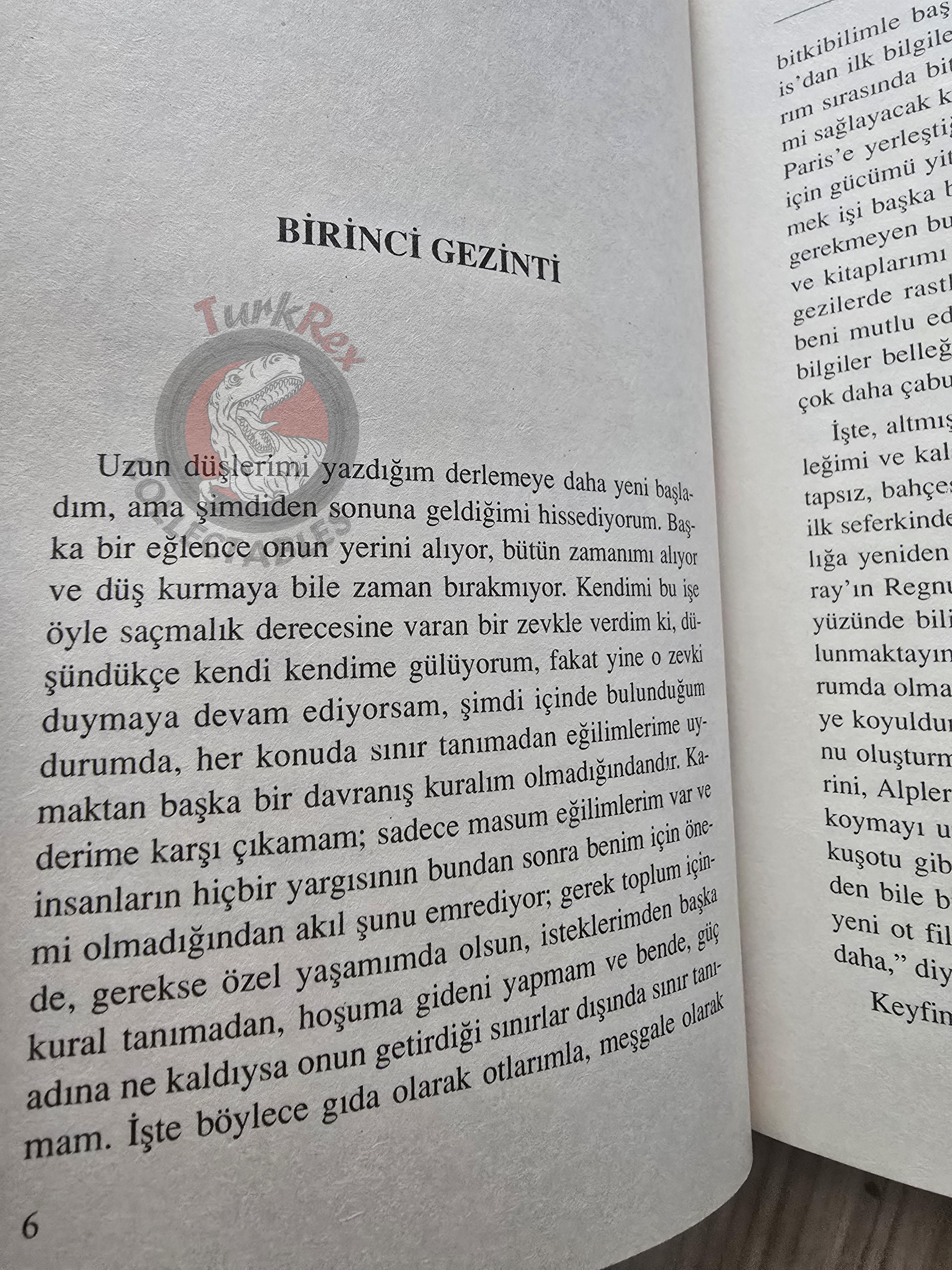 Jean-Jacques Rousseau – Reveries of a Solitary Walker 2007 Turkish Book Turkey 2