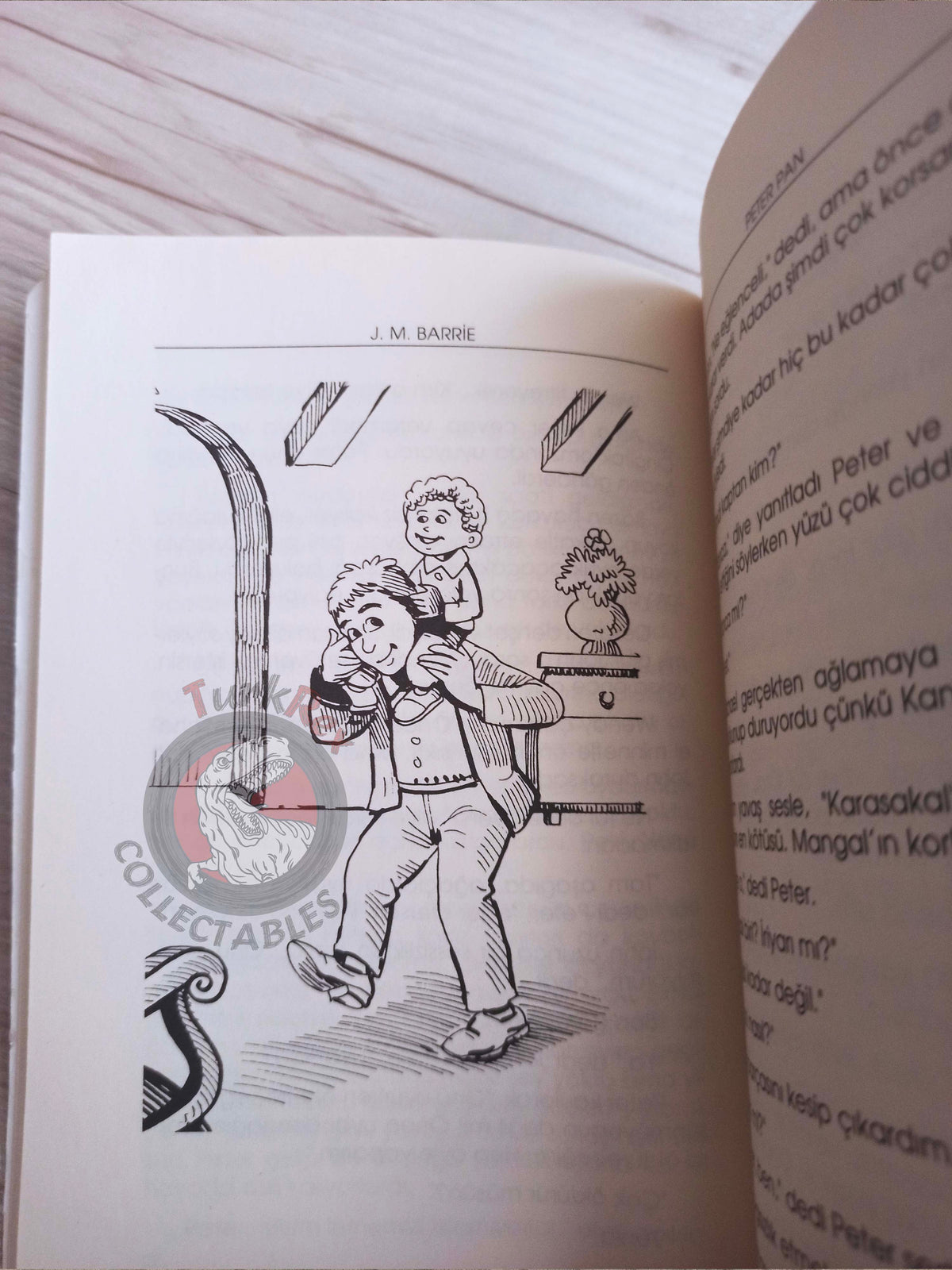 J. M. Barrie – Peter Pan 2005 Turkish Book Turkey Illustrated 3