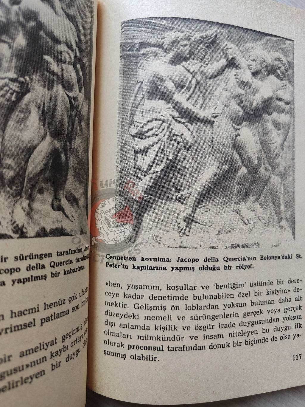 Carl Sagan – The Dragons Of Eden 1986 Turkish Book Turkey