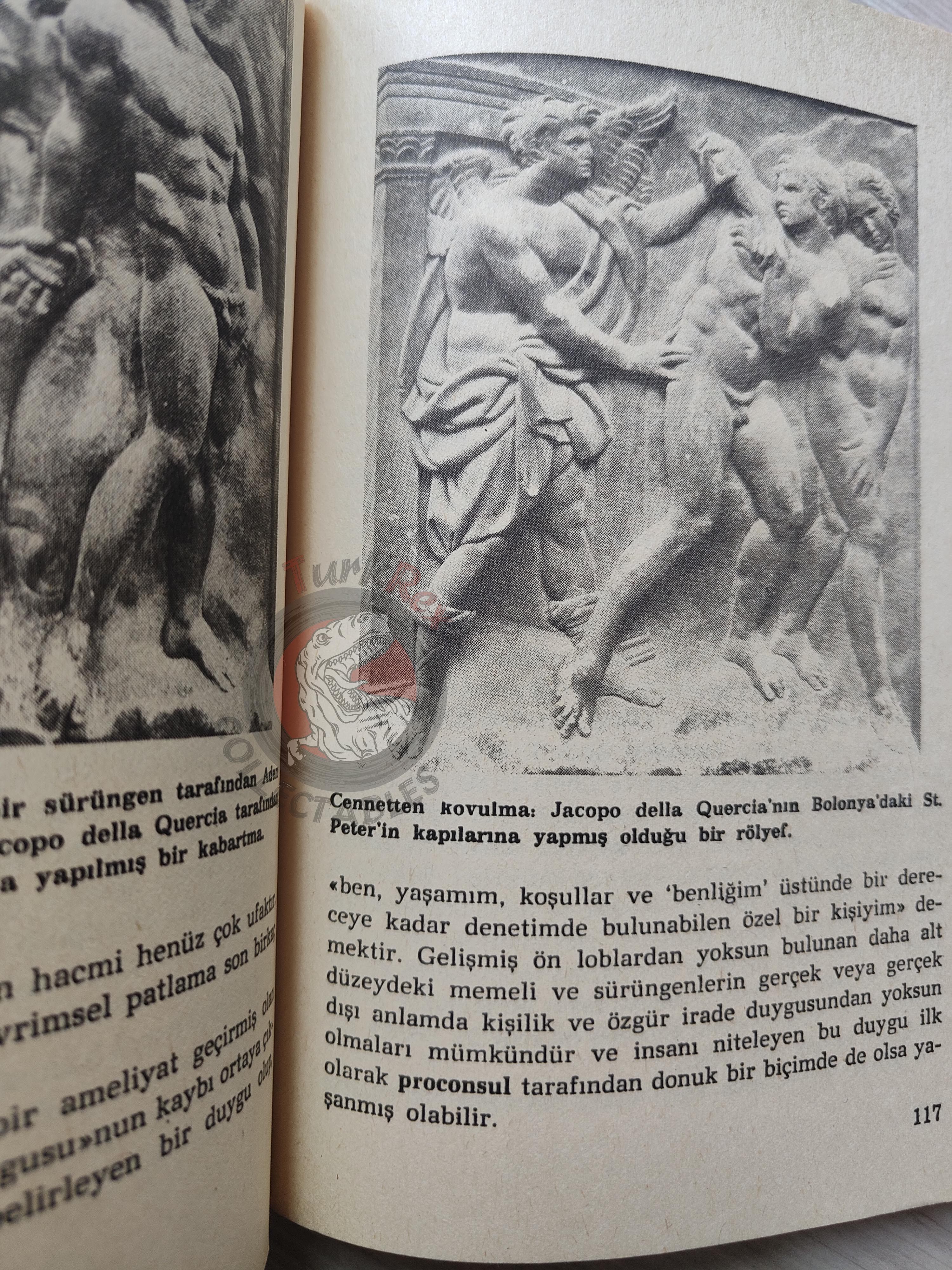 Carl Sagan – The Dragons Of Eden 1986 Turkish Book Turkey