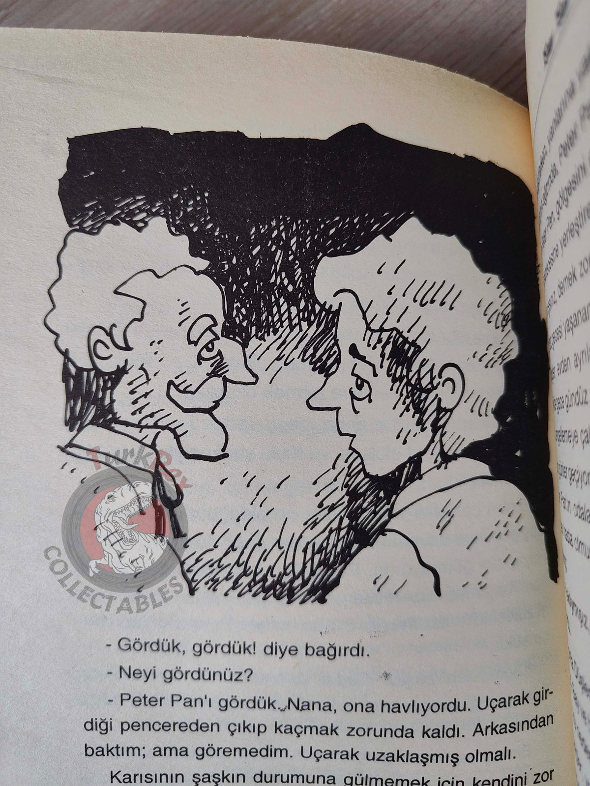 J. M. Barrie – Peter Pan 2001 Turkish Book Turkey Illustrated