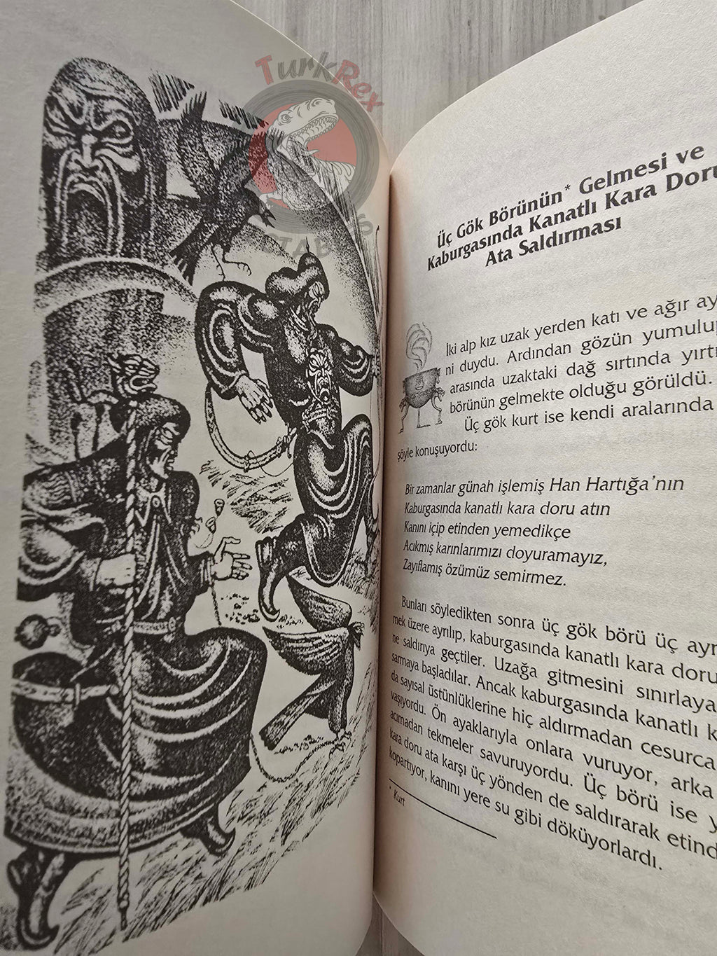 Timur Davletov – Huban Arığ: The Legendary Heroine 2005 Turkish Book Turkey