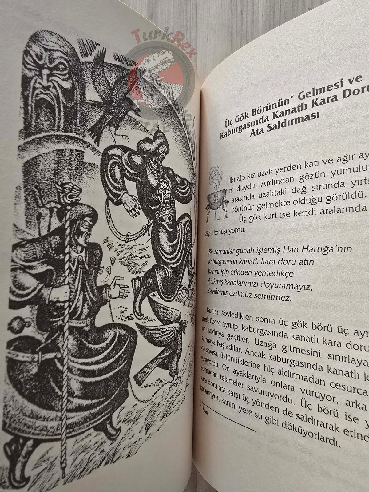 Timur Davletov – Huban Arığ: The Legendary Heroine 2005 Turkish Book Turkey