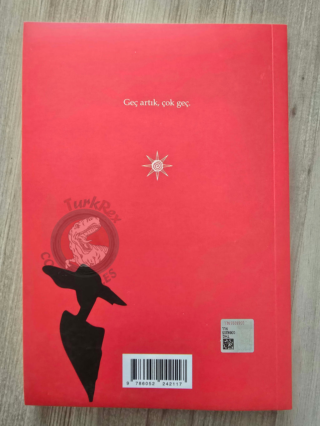 Franz Kafka – Grete Bloch Turkish Book Turkey