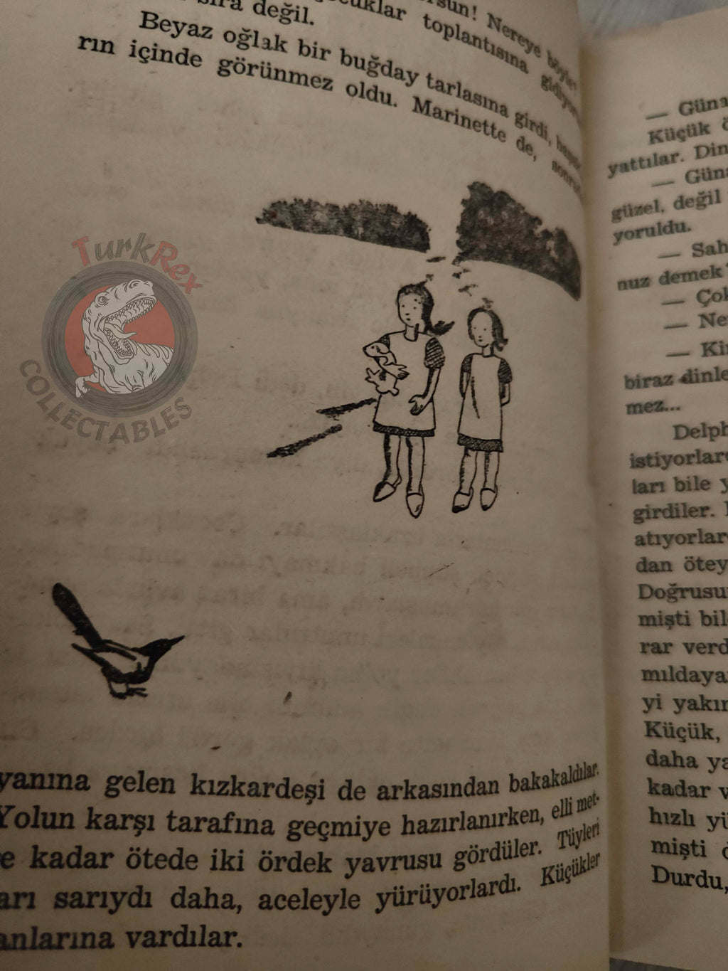 Marcel Aymé – Wonderful Farm 1960 Turkish Book Turkey Illustrated