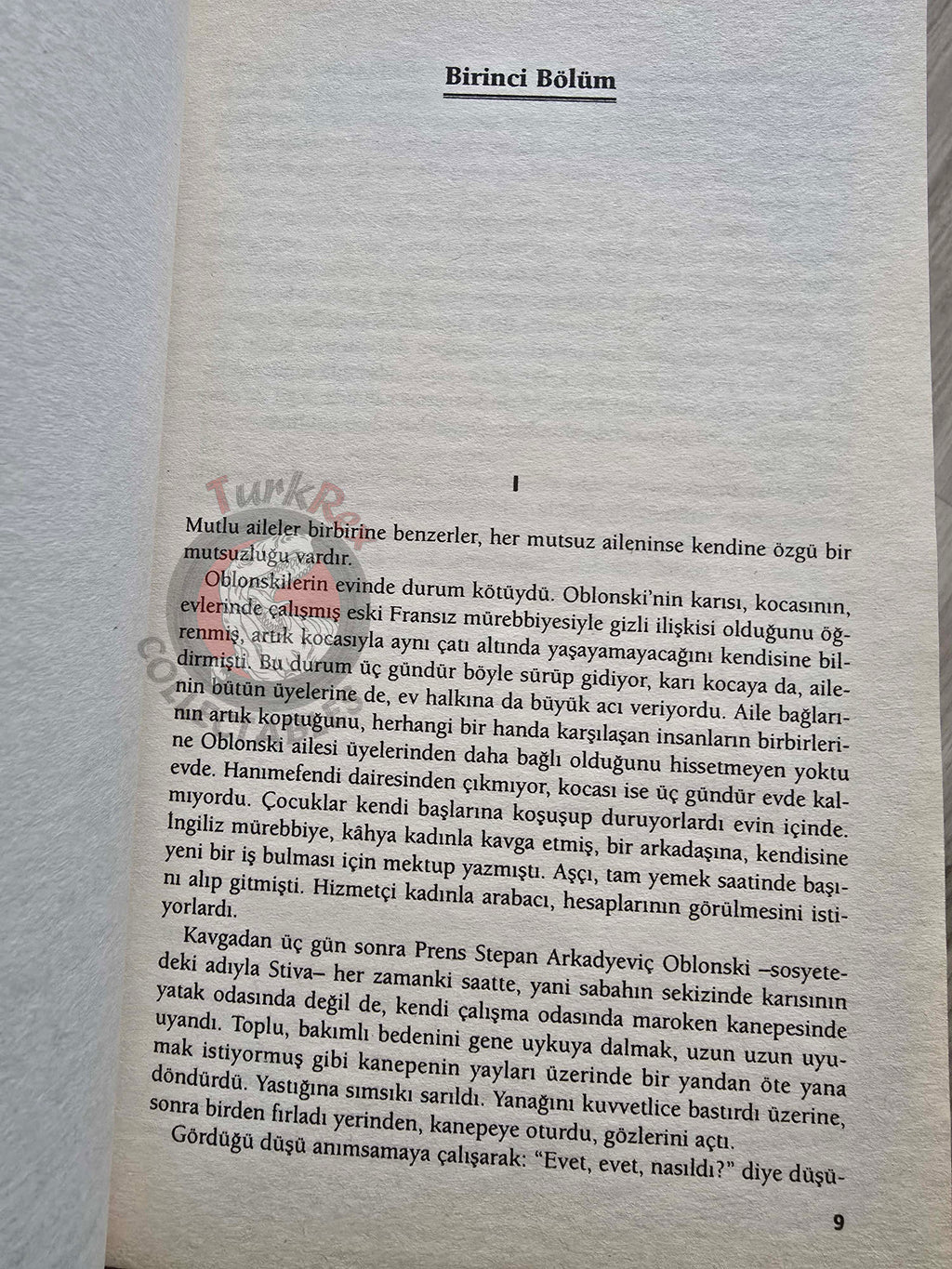 Leo Tolstoy – Anna Karenina 2008 Turkish Book Turkey