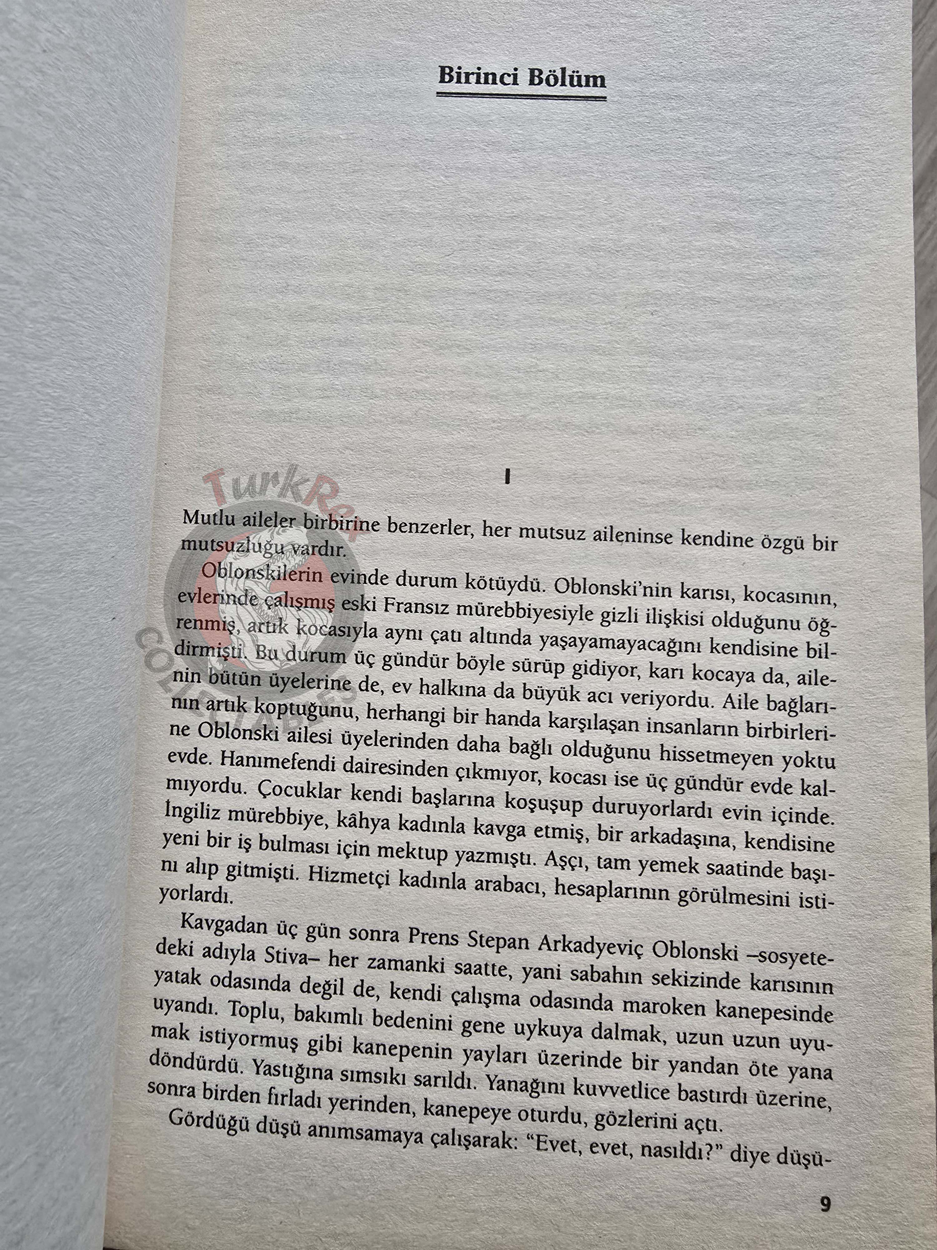Leo Tolstoy – Anna Karenina 2008 Turkish Book Turkey