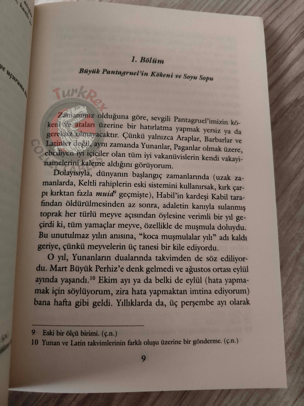 François Rabelais – Pantagruel 2012 Turkish Book Turkey Illustrated Gustave Dore