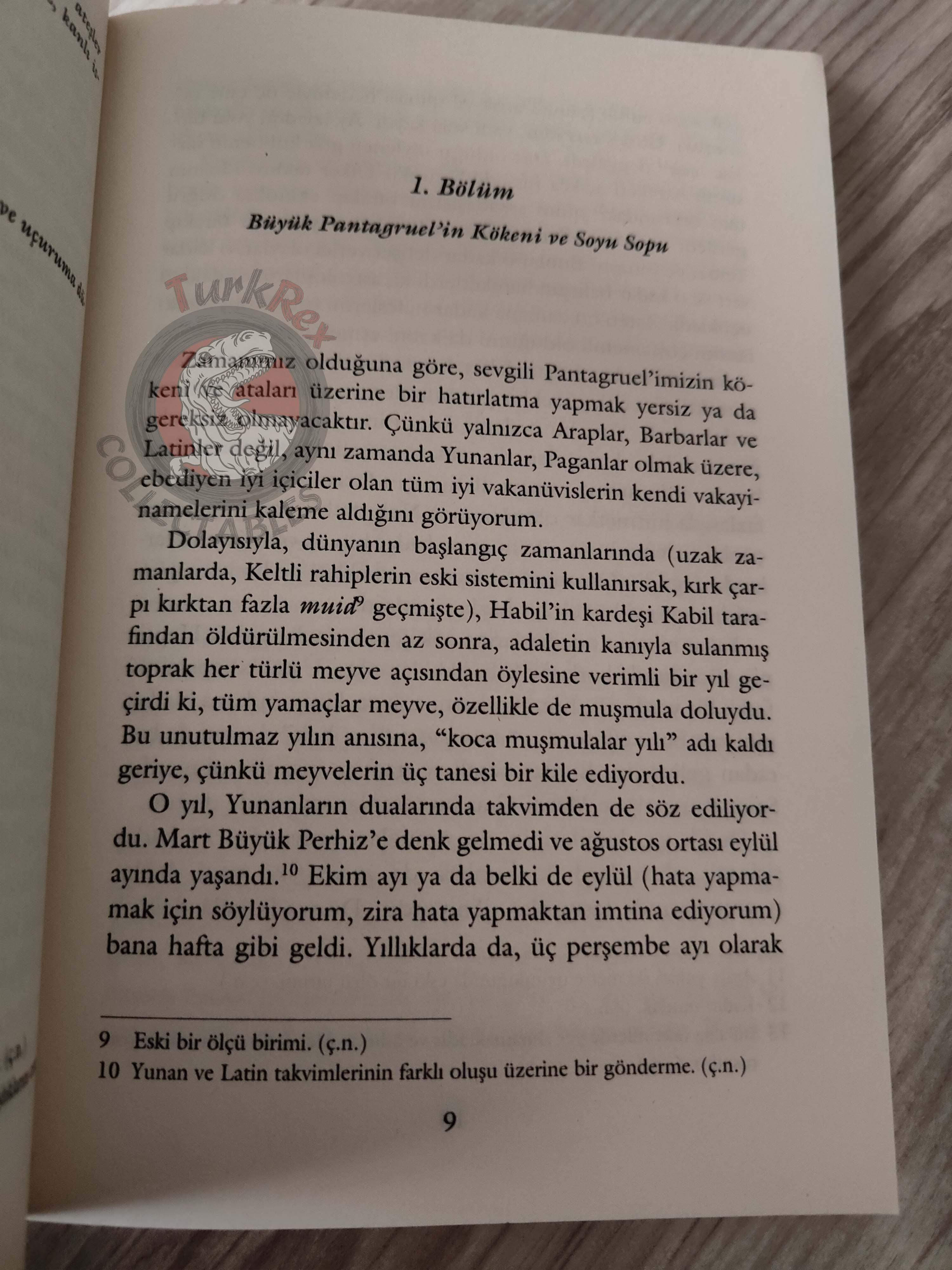 François Rabelais – Pantagruel 2012 Turkish Book Turkey Illustrated Gustave Dore