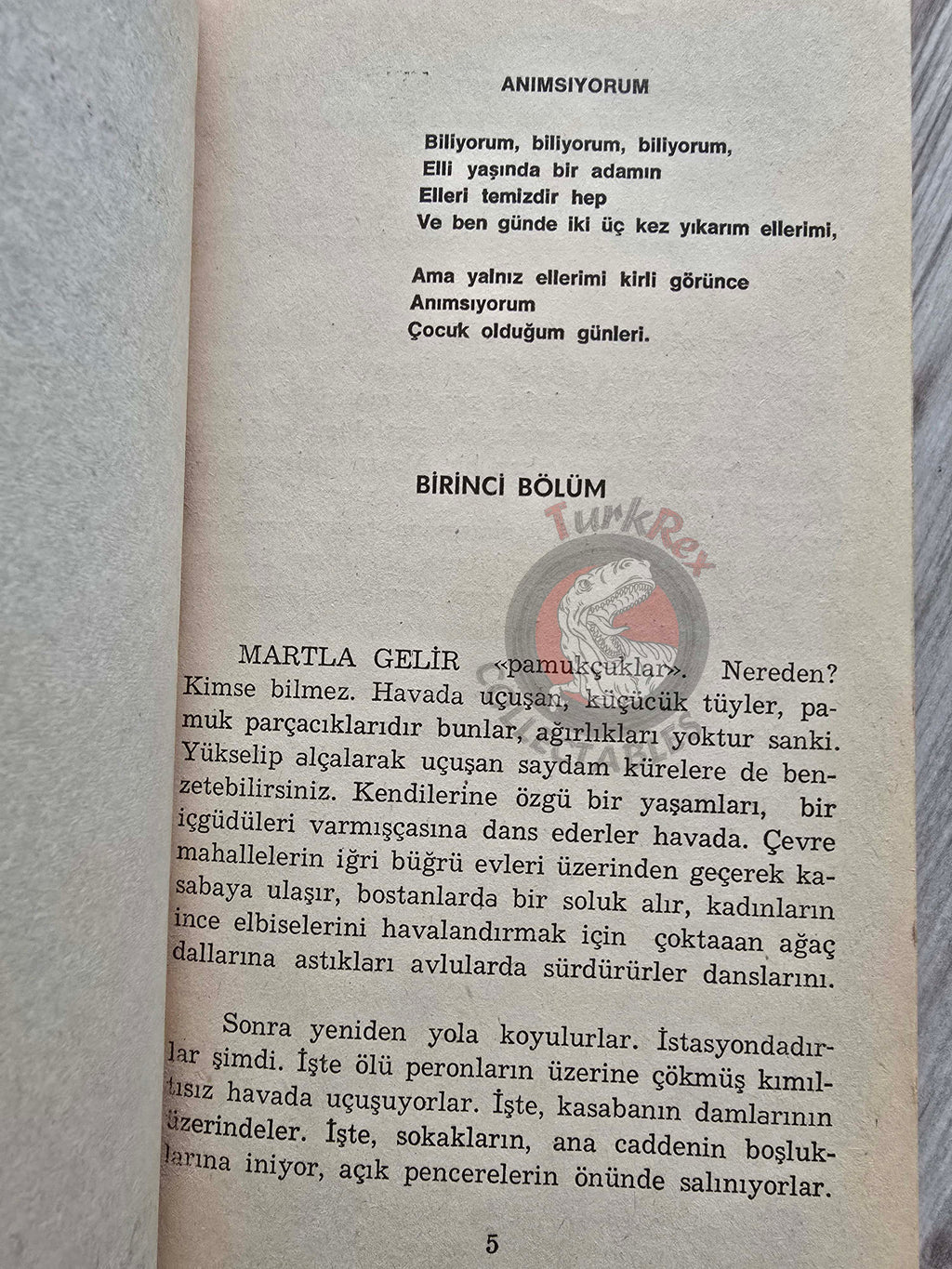 Federico Fellini – Amarcord 1976 1st Turkish Book Turkey