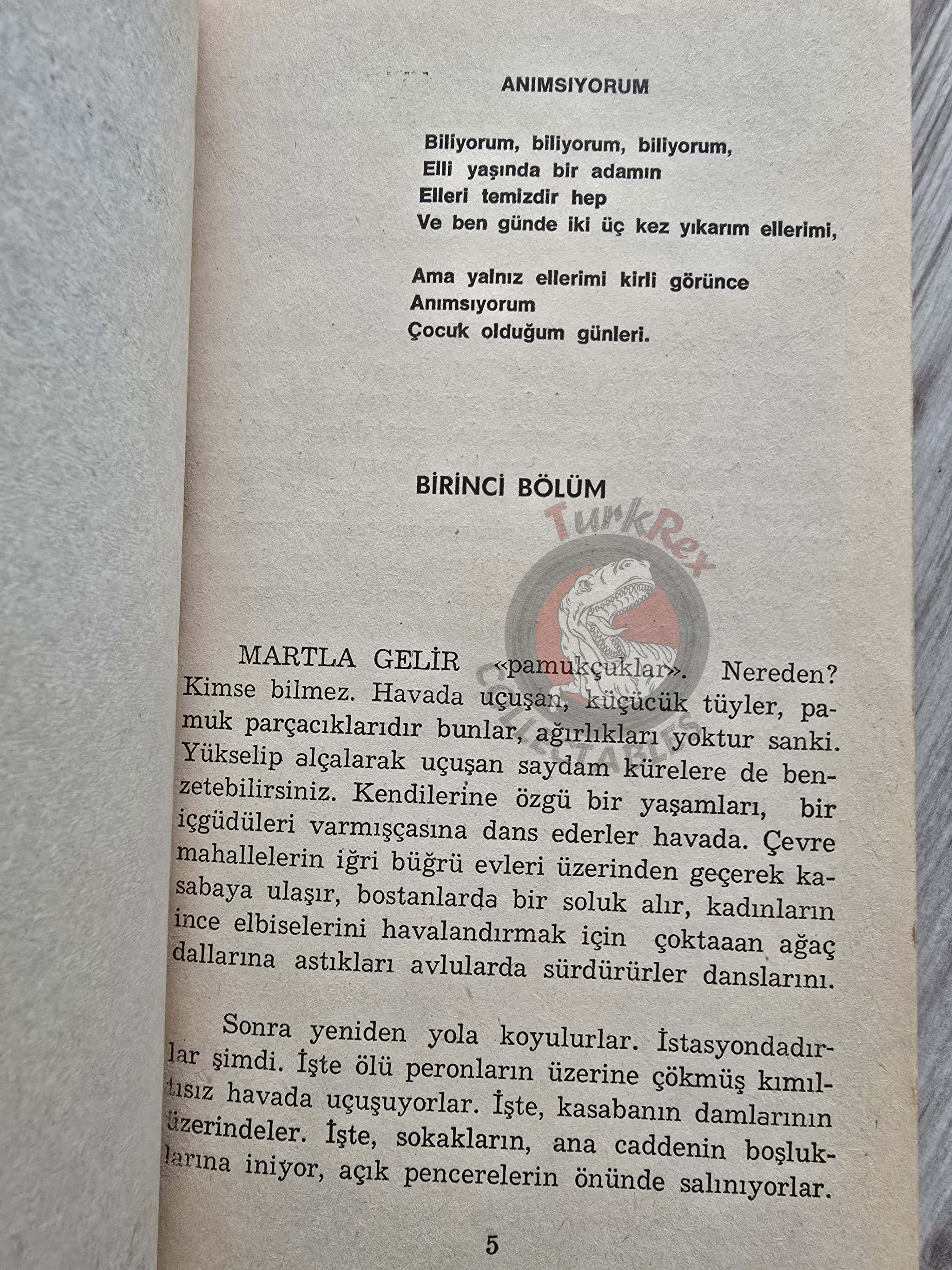 Federico Fellini – Amarcord 1976 1st Turkish Book Turkey