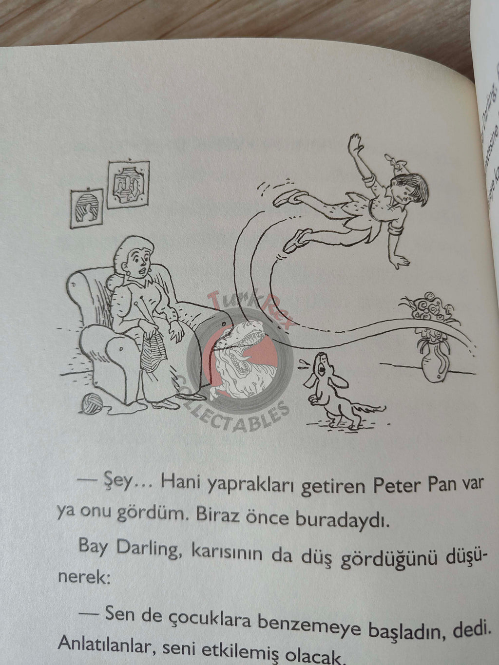 J. M. Barrie – Peter Pan 2011 Turkish Book Turkey Illustrated 4