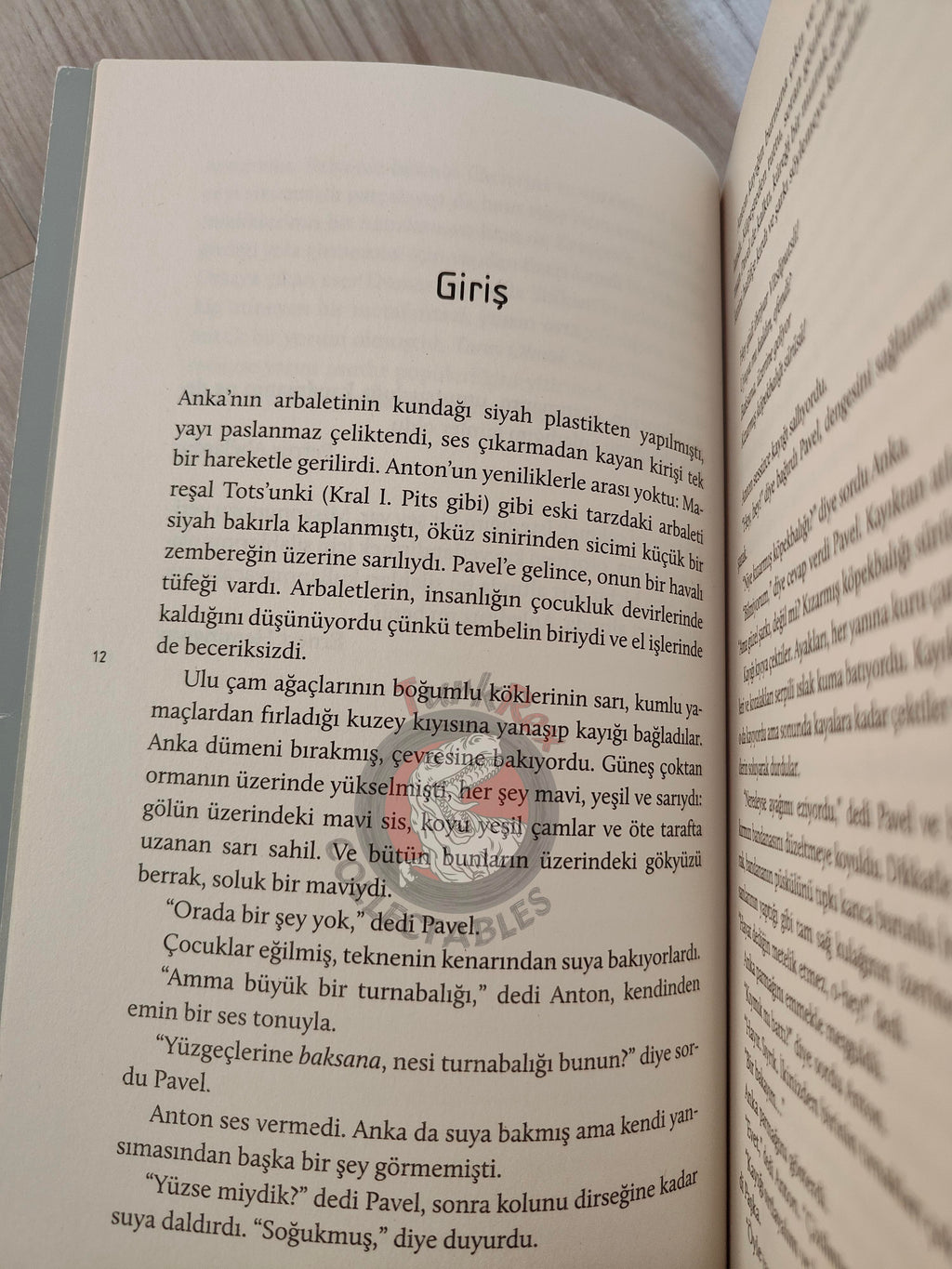 Arkadi and Boris Strugatski – Hard to Be a God 2017 Turkish Book Turkey