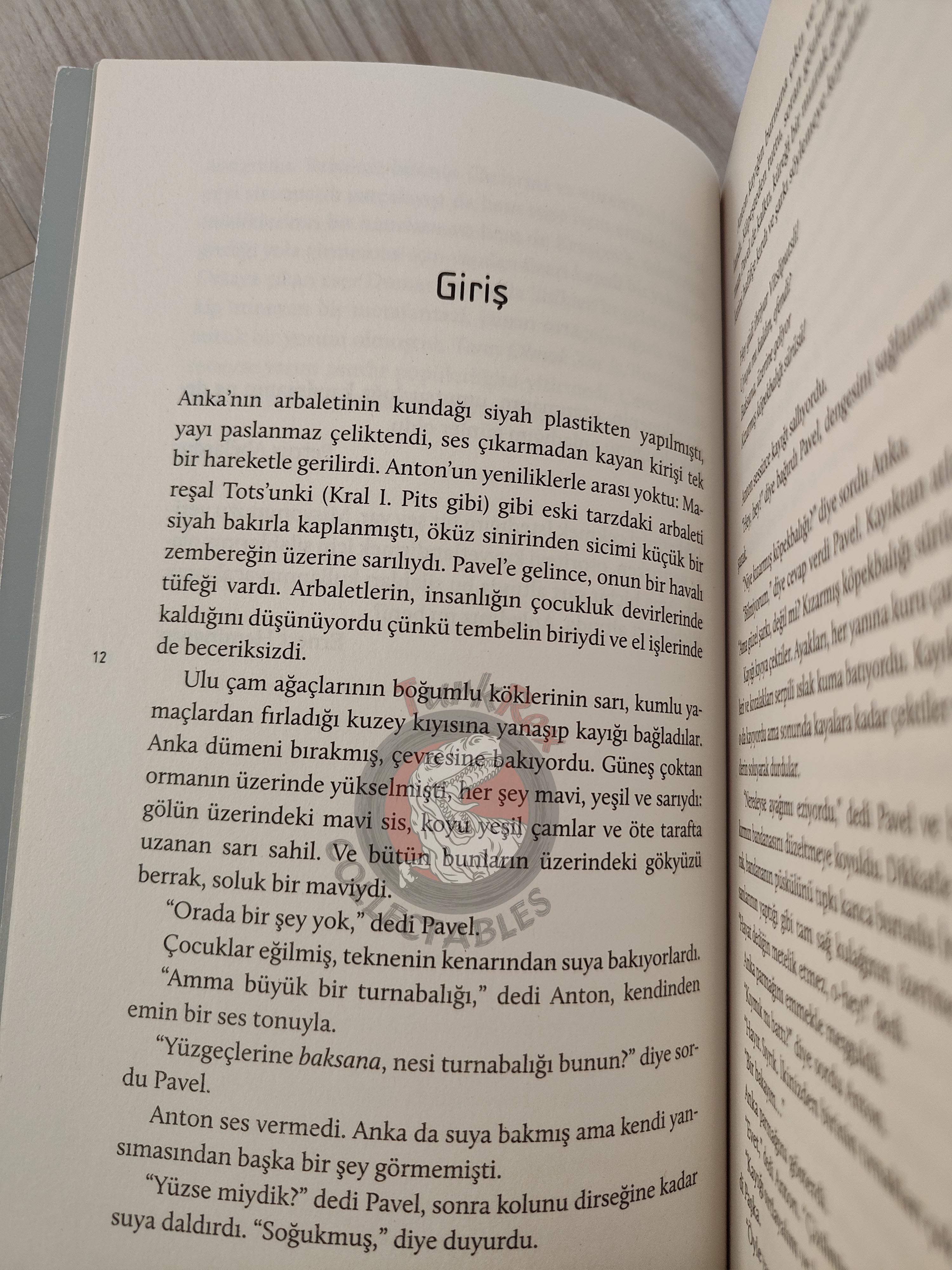 Arkadi and Boris Strugatski – Hard to Be a God 2017 Turkish Book Turkey