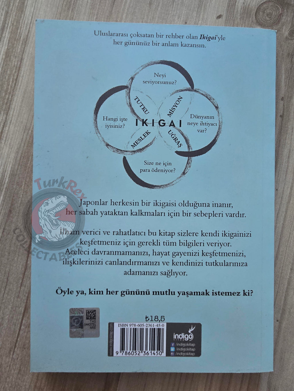 Héctor García & Francesc Miralles – Ikigai: The Japanese Secret 2017 Turkish Book Turkey