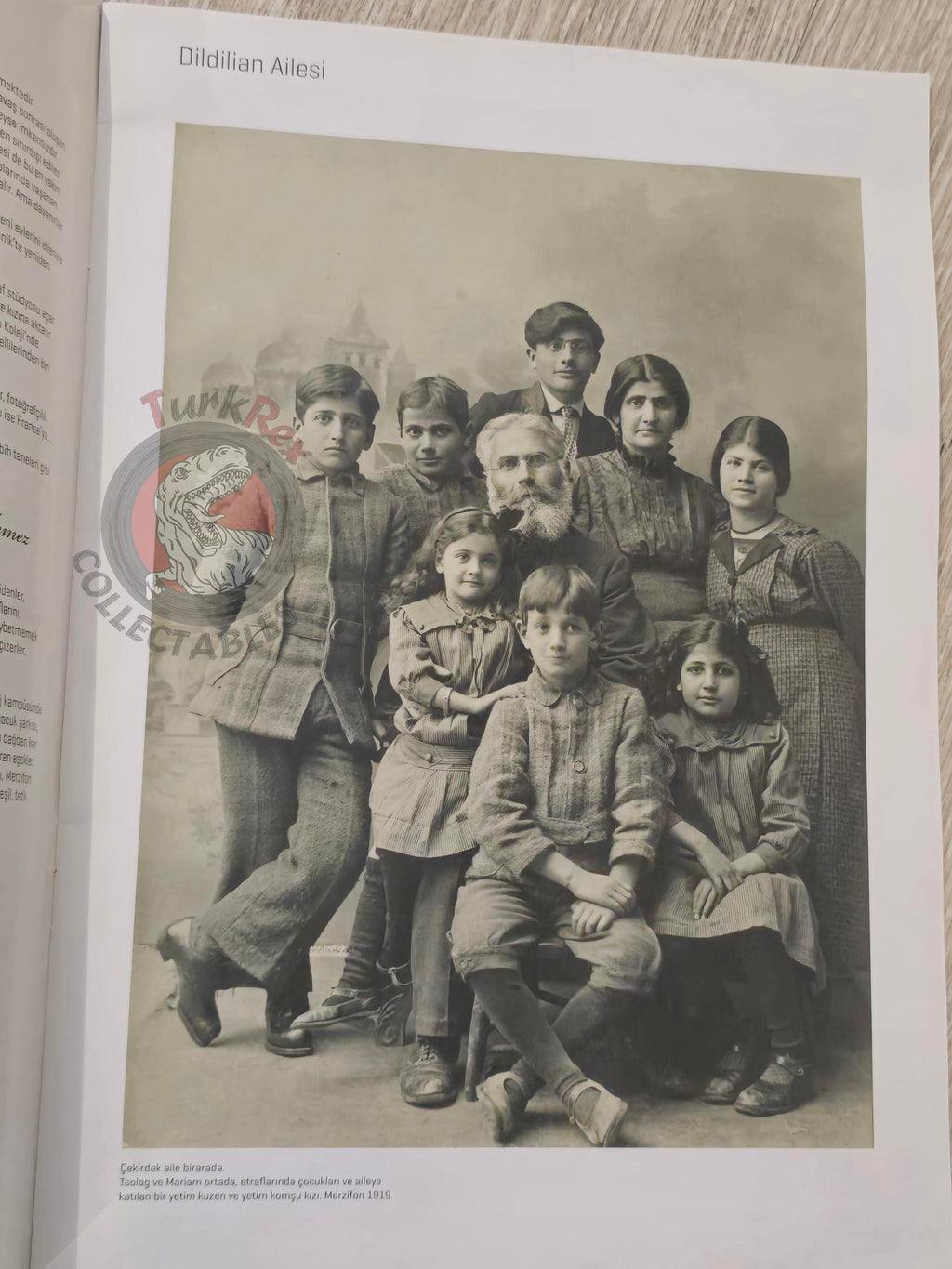 The Lost History of an Armenian Family Dildilian Brothers 2015 Turkish Book Turkey Armenia