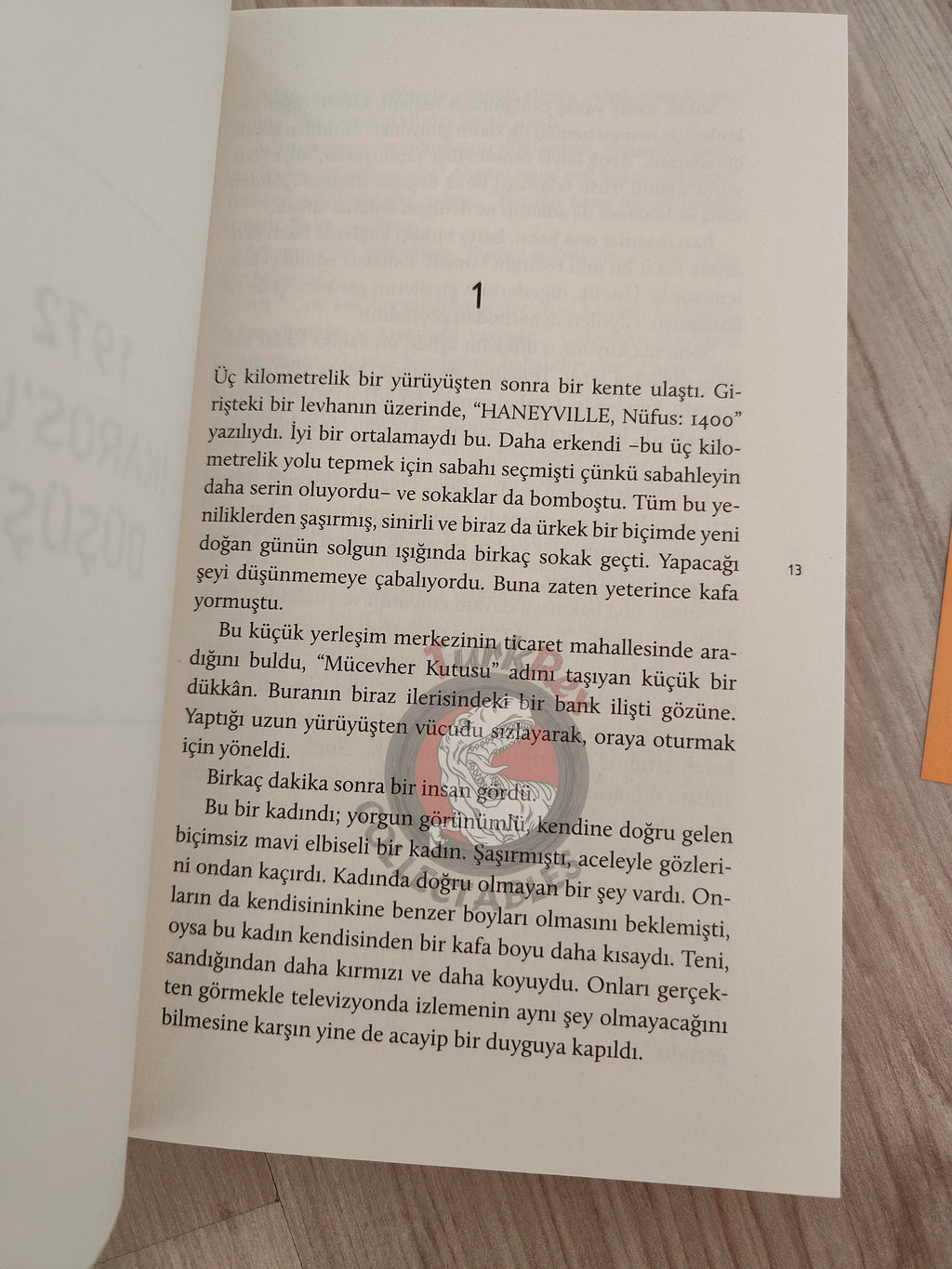 Walter Tevis – The Man Who Fell to Earth 2020 Turkish Book Turkey
