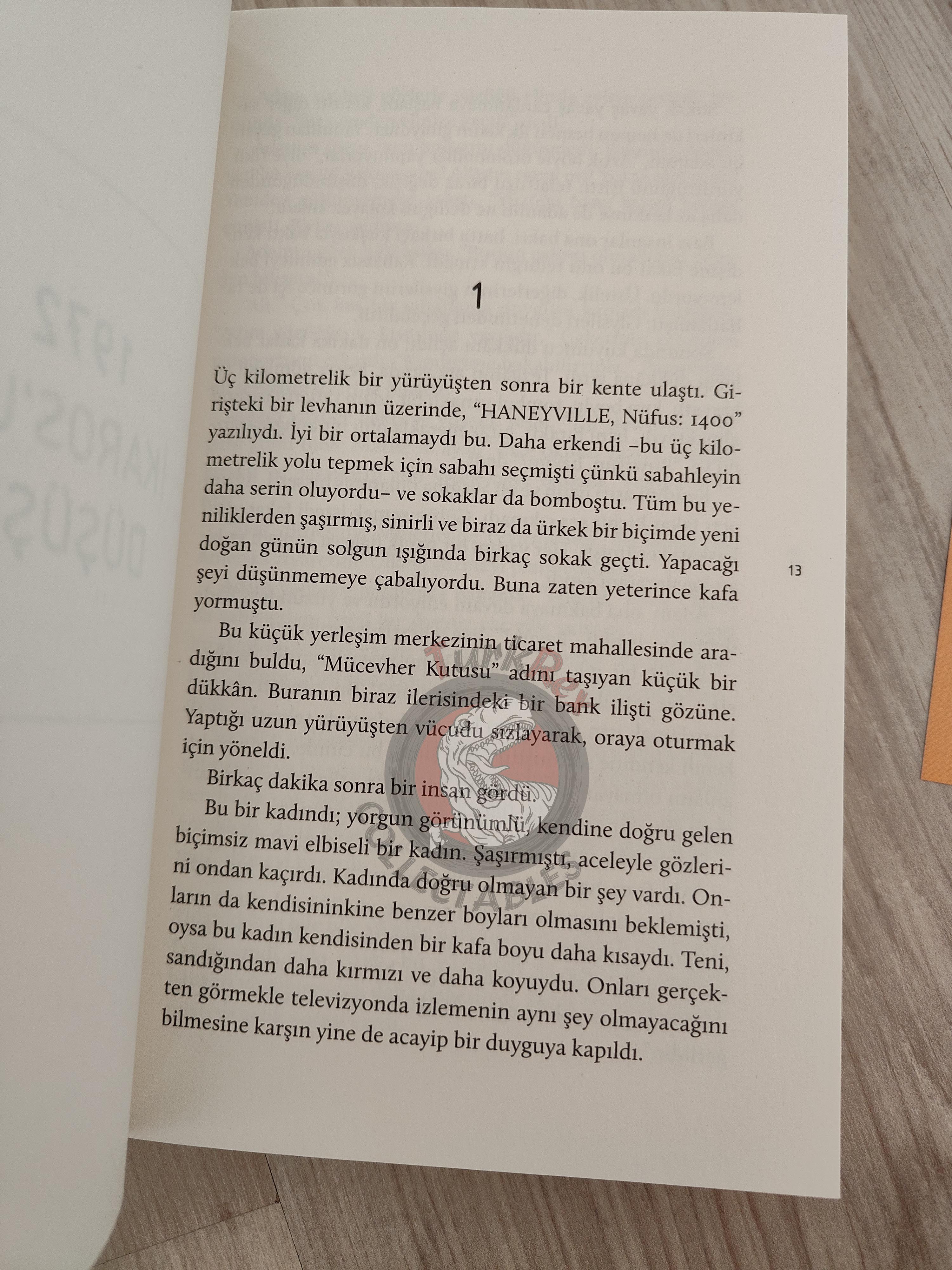 Walter Tevis – The Man Who Fell to Earth 2020 Turkish Book Turkey