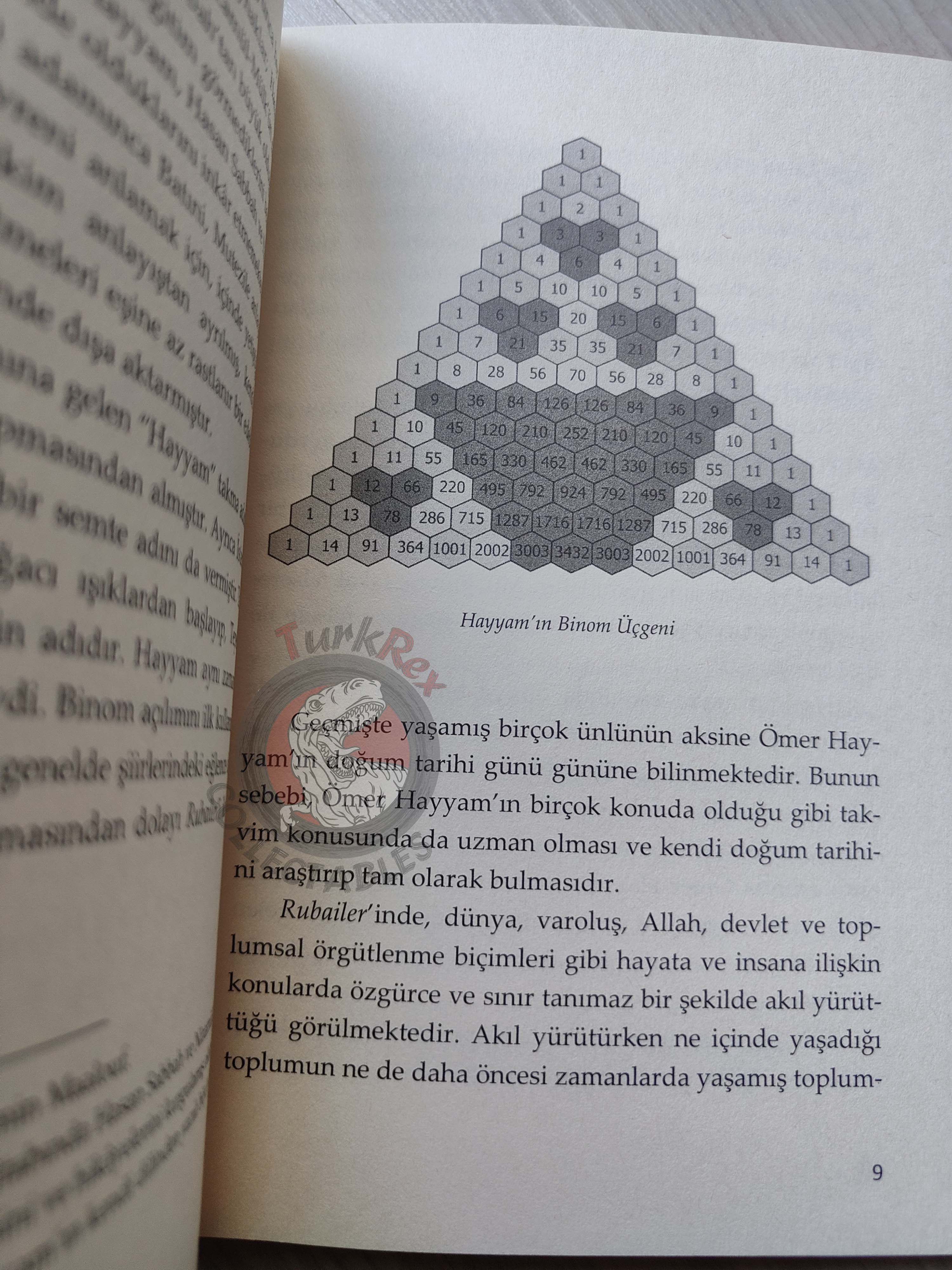 Rubaiyat of Omar Khayyam 2013 Illustrated Turkish Book Turkey