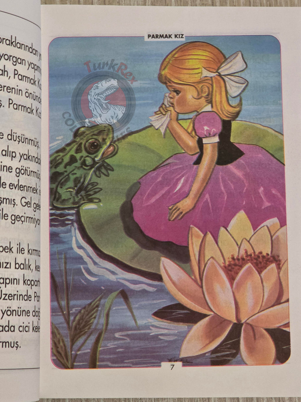 Hans Christian Andersen – Thumbelina 2000 Turkish Book Turkey Illustrated Dumbo