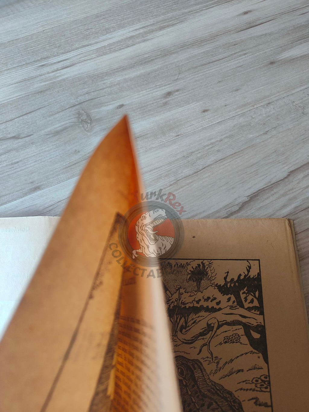 Countess of Ségur –  Silk Princess 1945 Turkish Book Turkey Illustrated