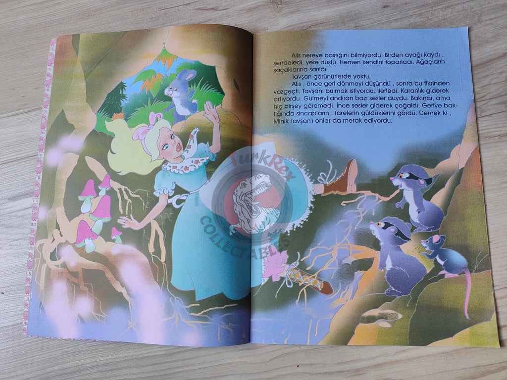 Lewis Carroll – Alice in Wonderland 2000s Turkish Book Turkey Illustrated 1