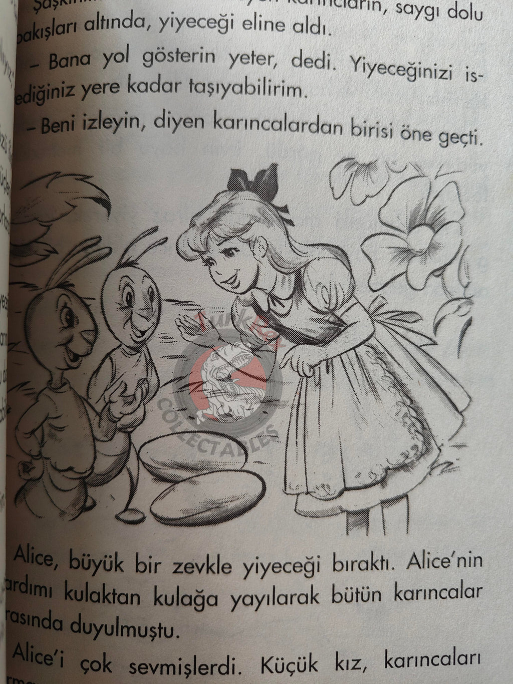 Lewis Carroll – Alice in Wonderland 2005 Turkish Book Turkey Illustrated