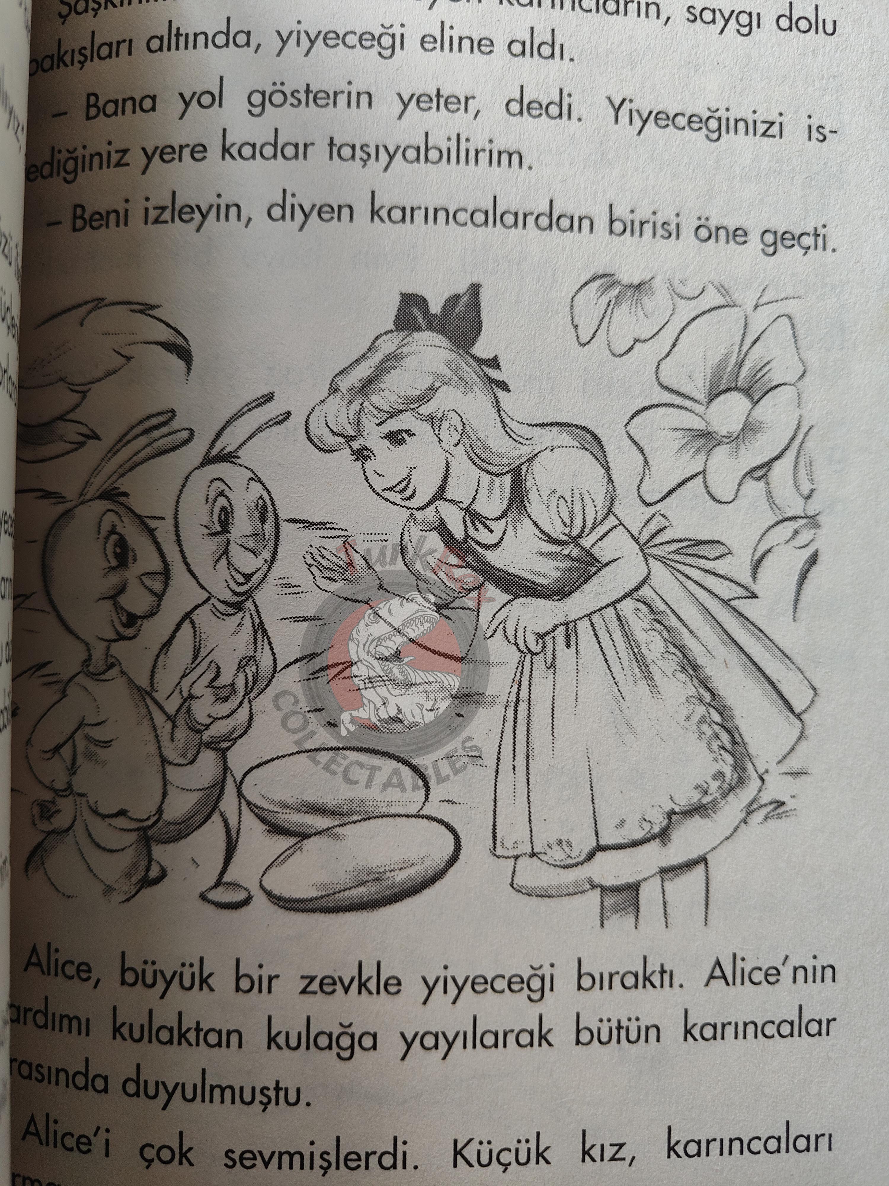 Lewis Carroll – Alice in Wonderland 2005 Turkish Book Turkey Illustrated
