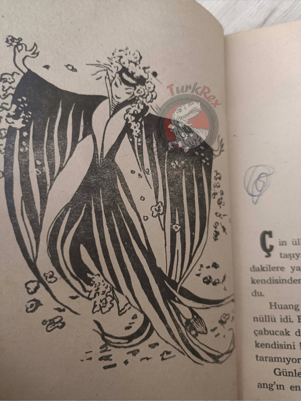 Chinese Fairy Tales 1964 Turkish Book Turkey Illustrated Huang and the Thunder Genie
