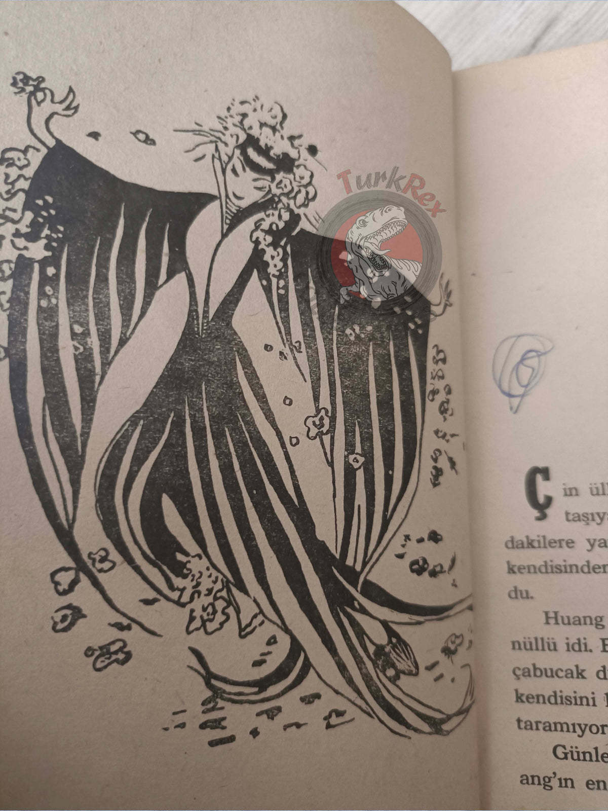 Chinese Fairy Tales 1964 Turkish Book Turkey Illustrated Huang and the Thunder Genie