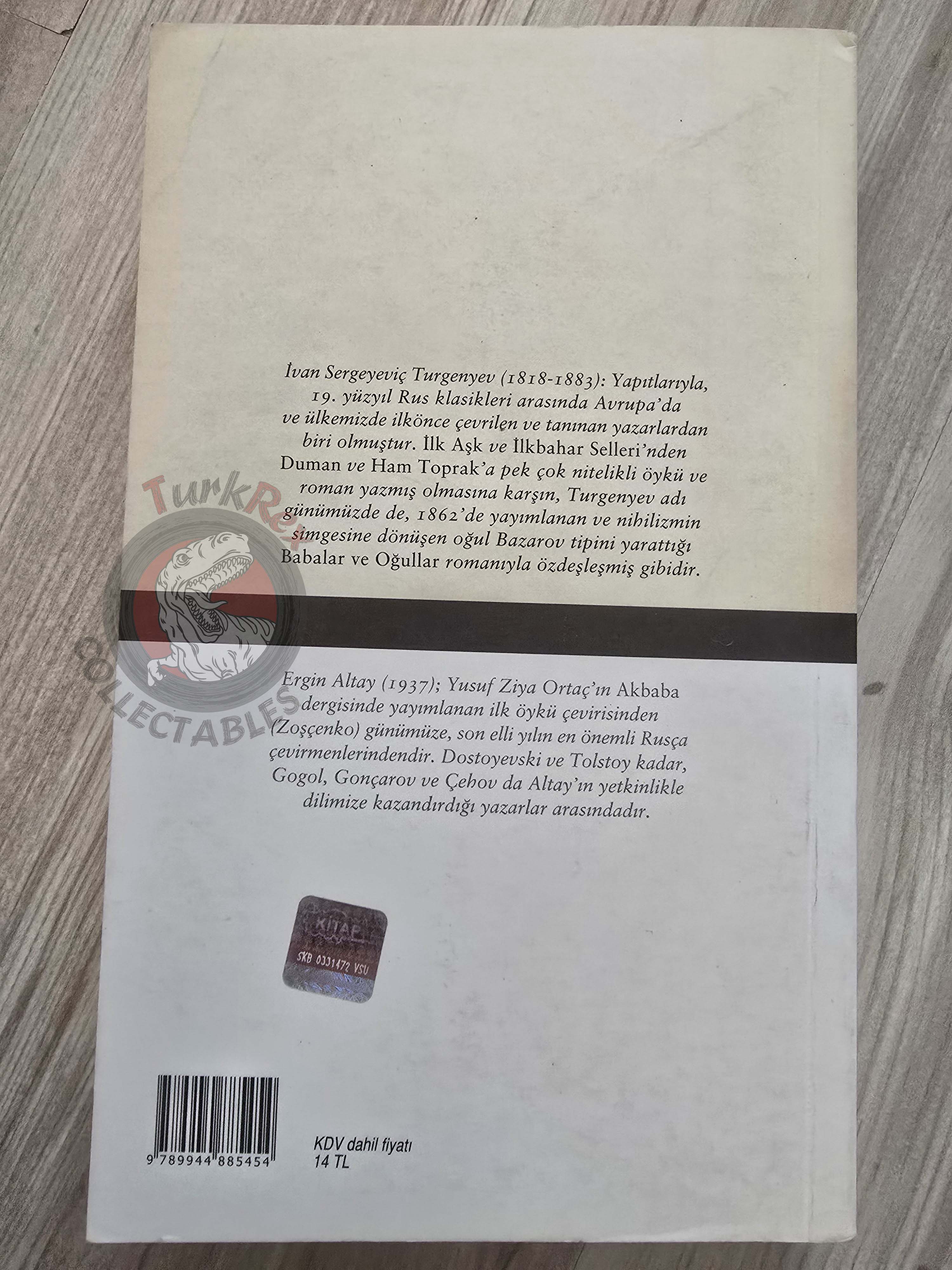 Ivan Turgenev – Fathers and Sons 2009 Turkish Book Turkey