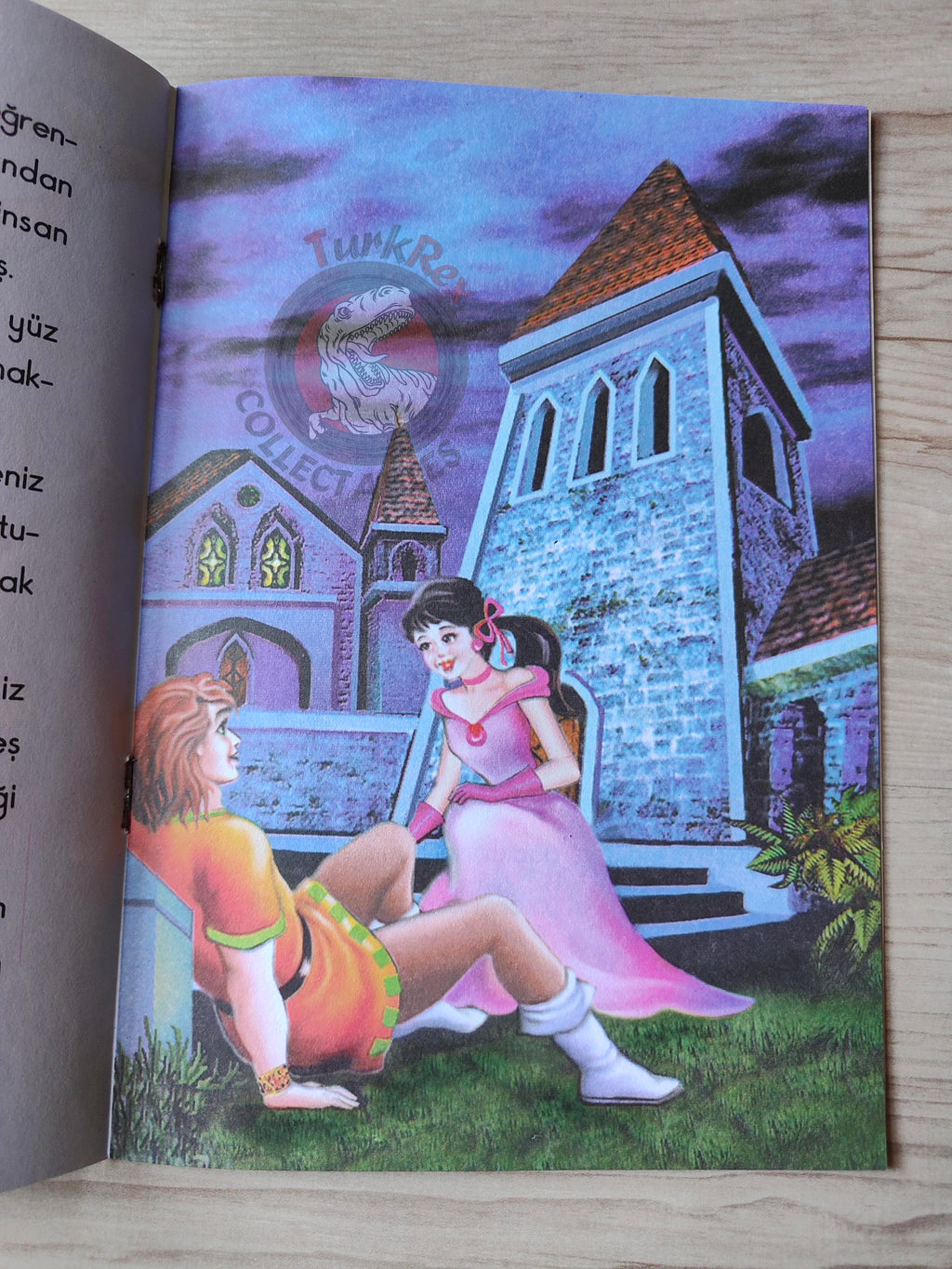 Hans Christian Andersen – The Little Mermaid 2003 Turkish Book Turkey Illustrated