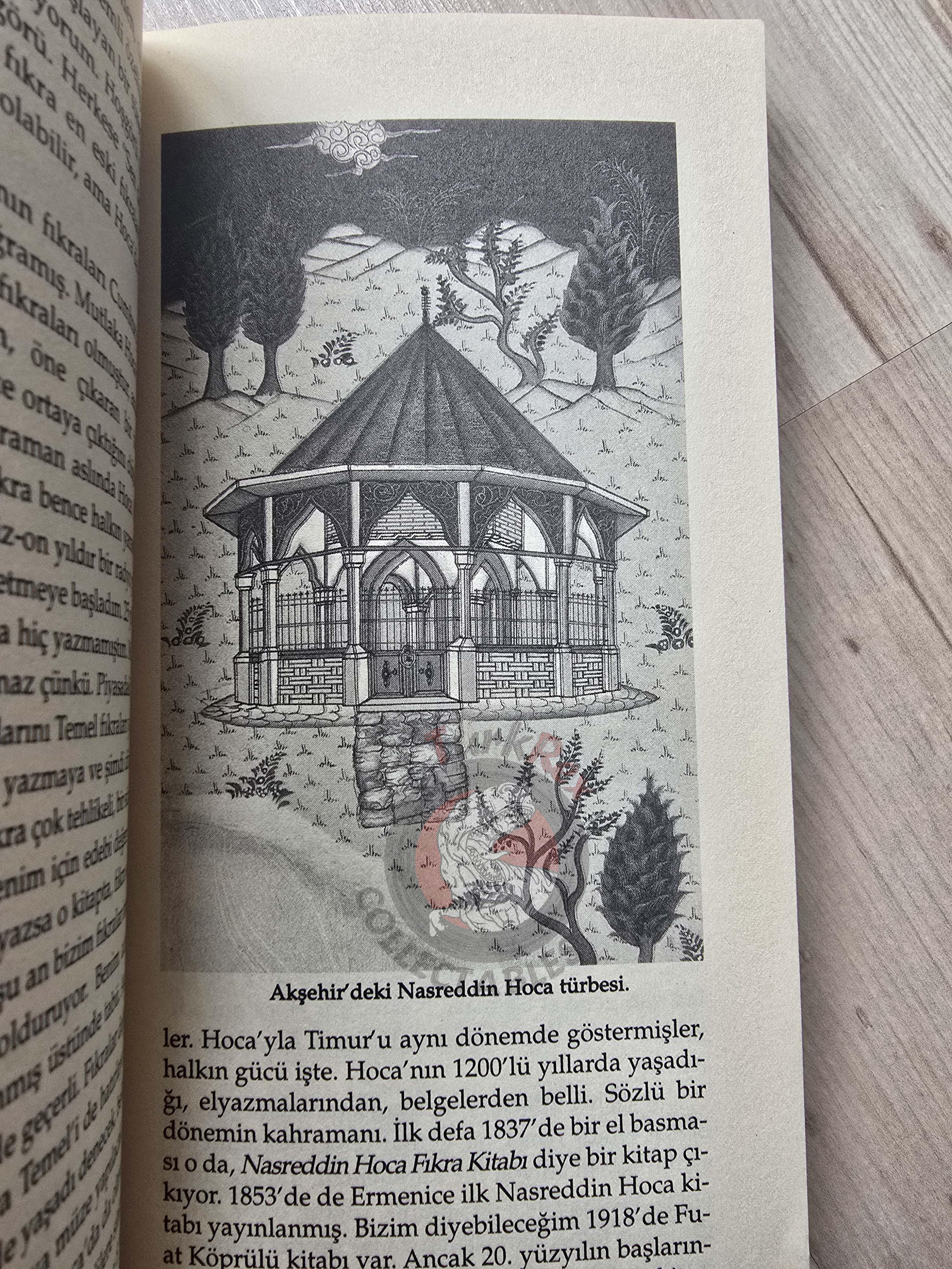 Tales Of Nasreddin Hodja 2010 Turkish Illustrated Book Turkey Hoca