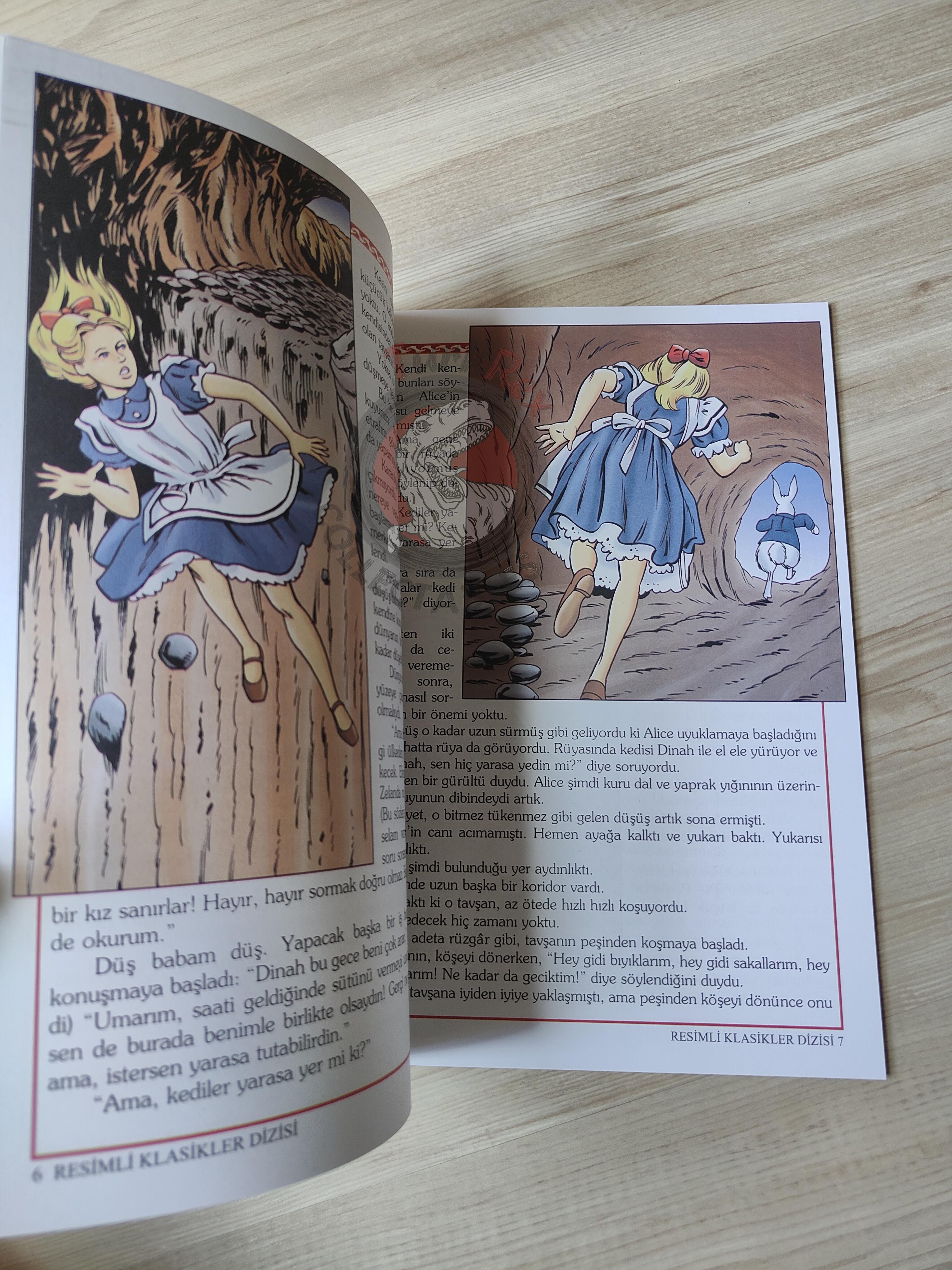 Lewis Carroll – Alice in Wonderland 2011 Turkish Book Turkey Illustrated 1