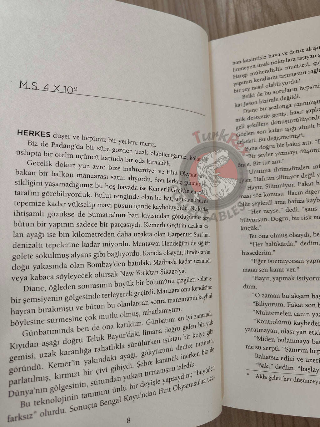 Robert Charles Wilson – Spin 2019 Turkish Book Turkey Spin Trilogy